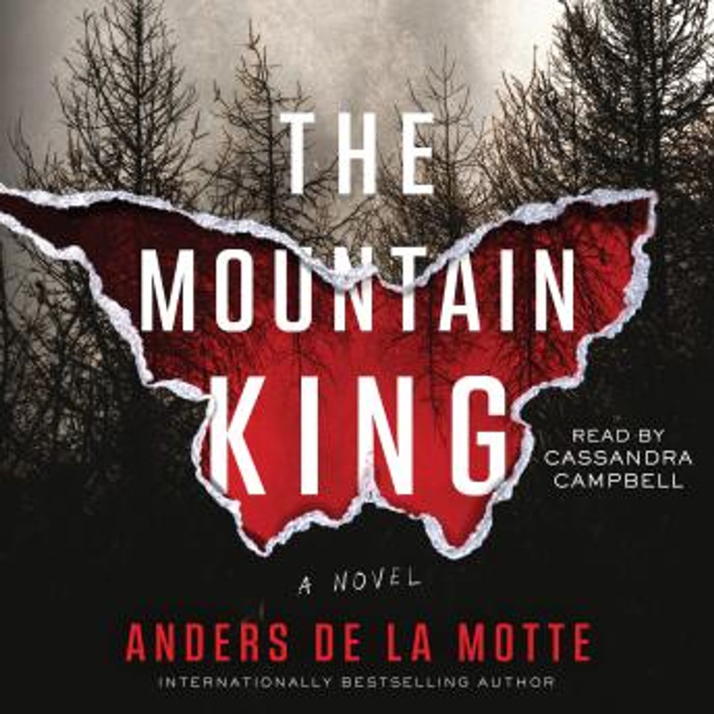 Get Best Full Audiobooks in Mystery, Thriller & Horror, Police & Detective
