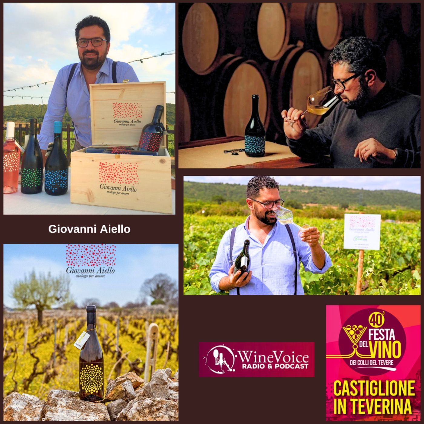 Le Terre del Vino: 40° Festa del Vino Colli del Tevere - Ospite d'onore GIOVANNI AIELLO, Enologo per Amore (Puglia) episode artwork