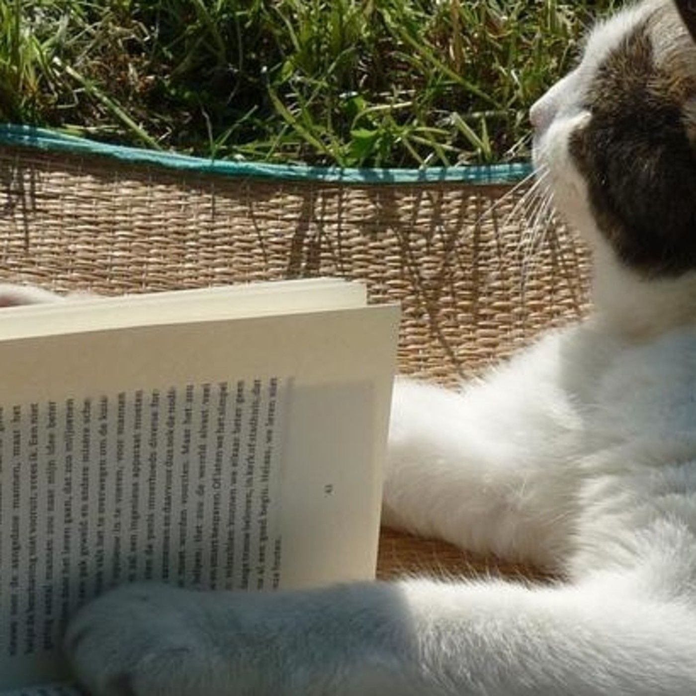 Aprendiendo de los libros