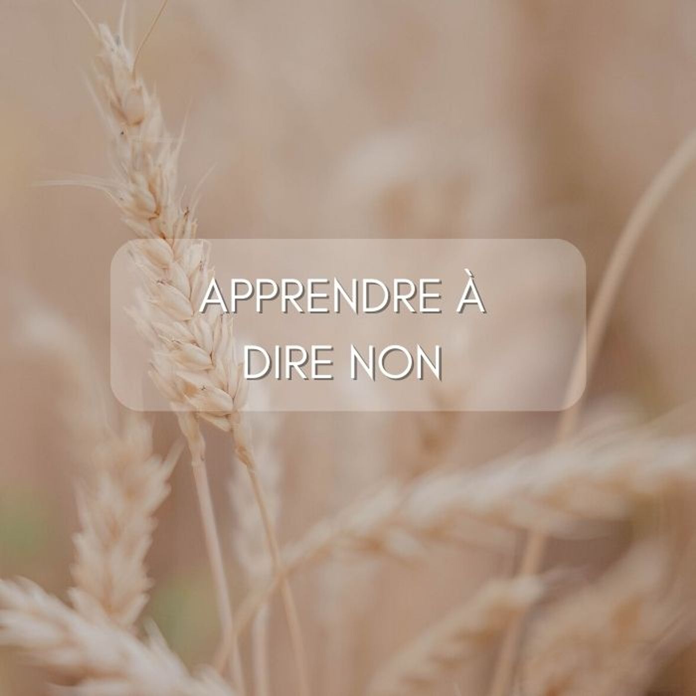 En équilibre Entrepreneuriat & Bien-être