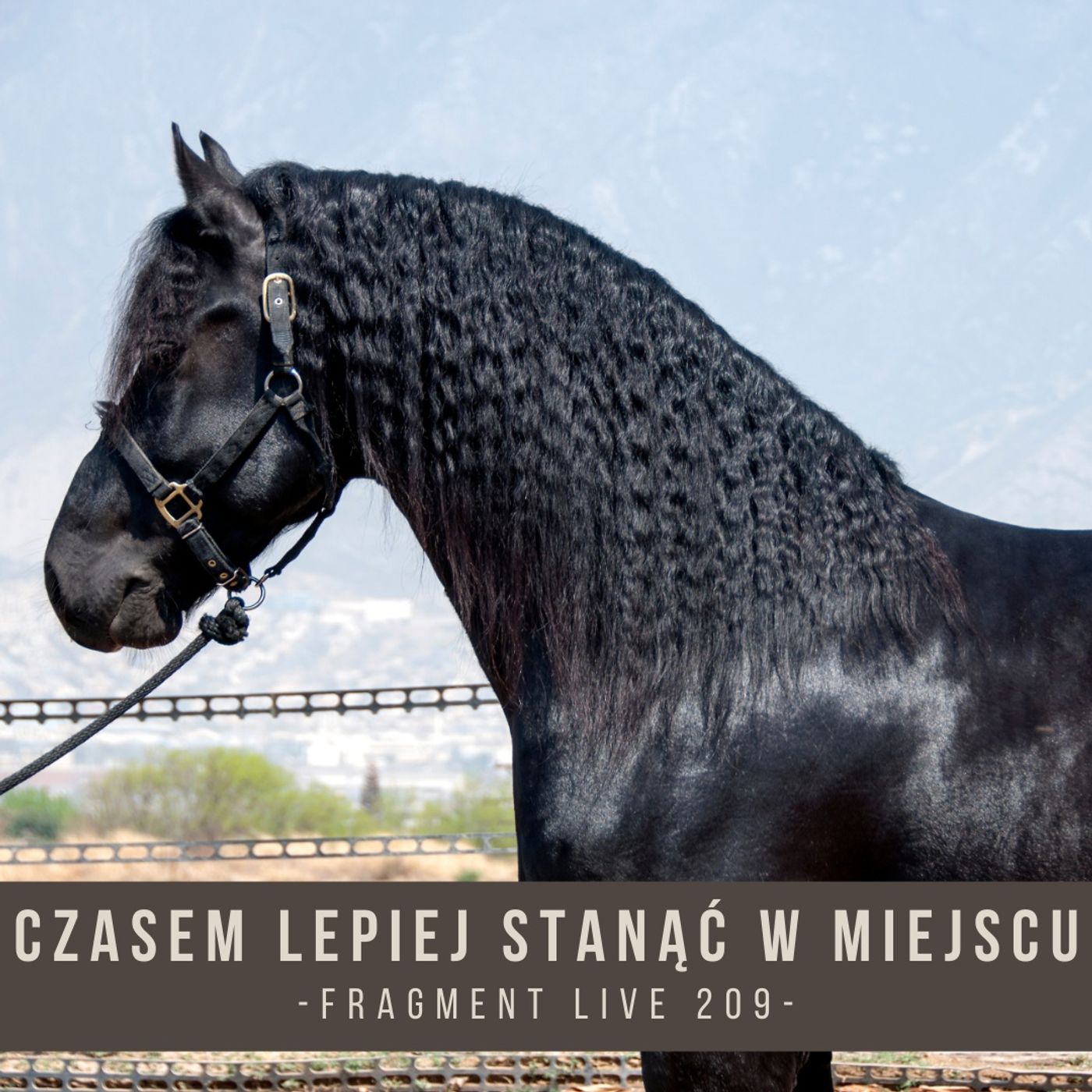 Czasem lepiej stanąć w miejscu - fragment live 209