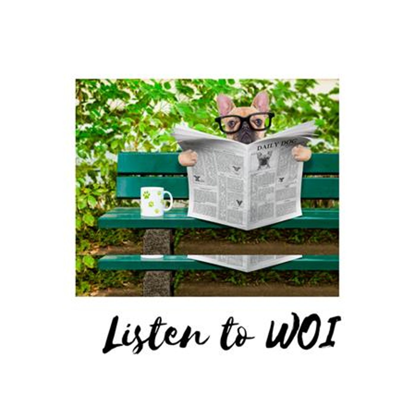 Writers Talk on Michigan Avenue Media