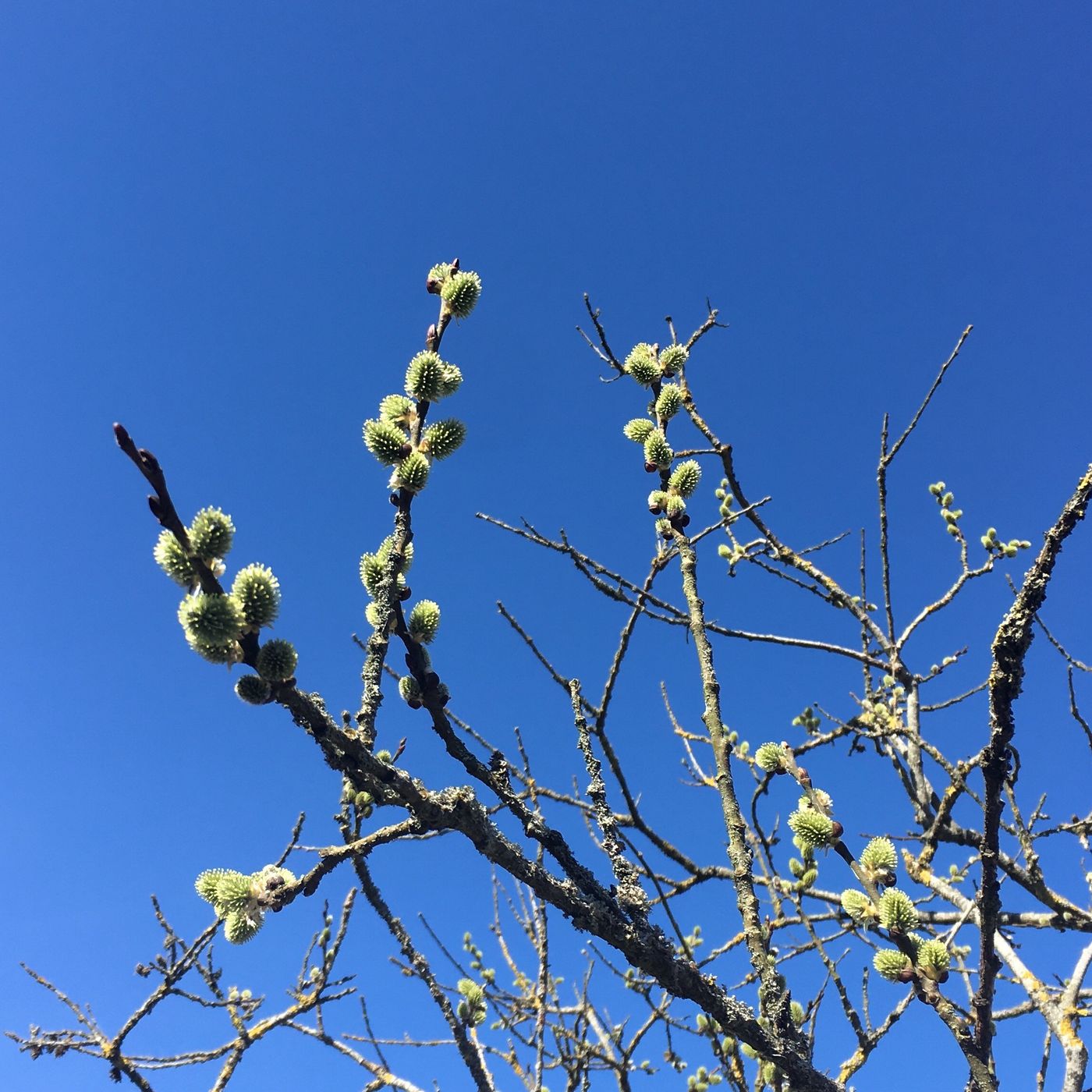 Åndedrætsøvelser af Rikke Benn