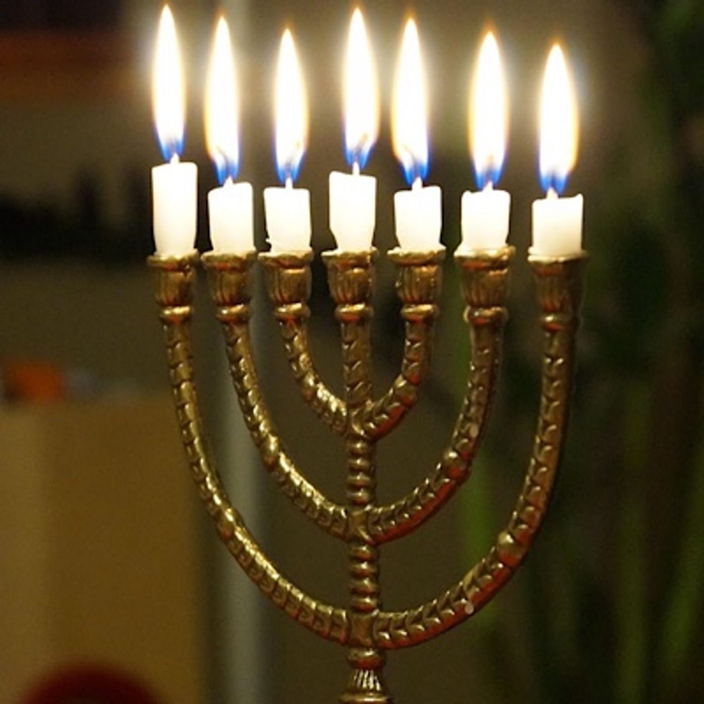 Episode 1619 - Jarvis Kingston NASCAR 2026 Daytona 500 NBA All Star Game 2026 Milan Cortina Winter Olympics PGA Golf Tour Presidents Day USA Episode 1619 - Jarvis Kingston NASCAR 2026 Daytona 500 NBA All Star Game 2026 Milan Cortina Winter Olympics PGA Golf Tour Presidents Day USA