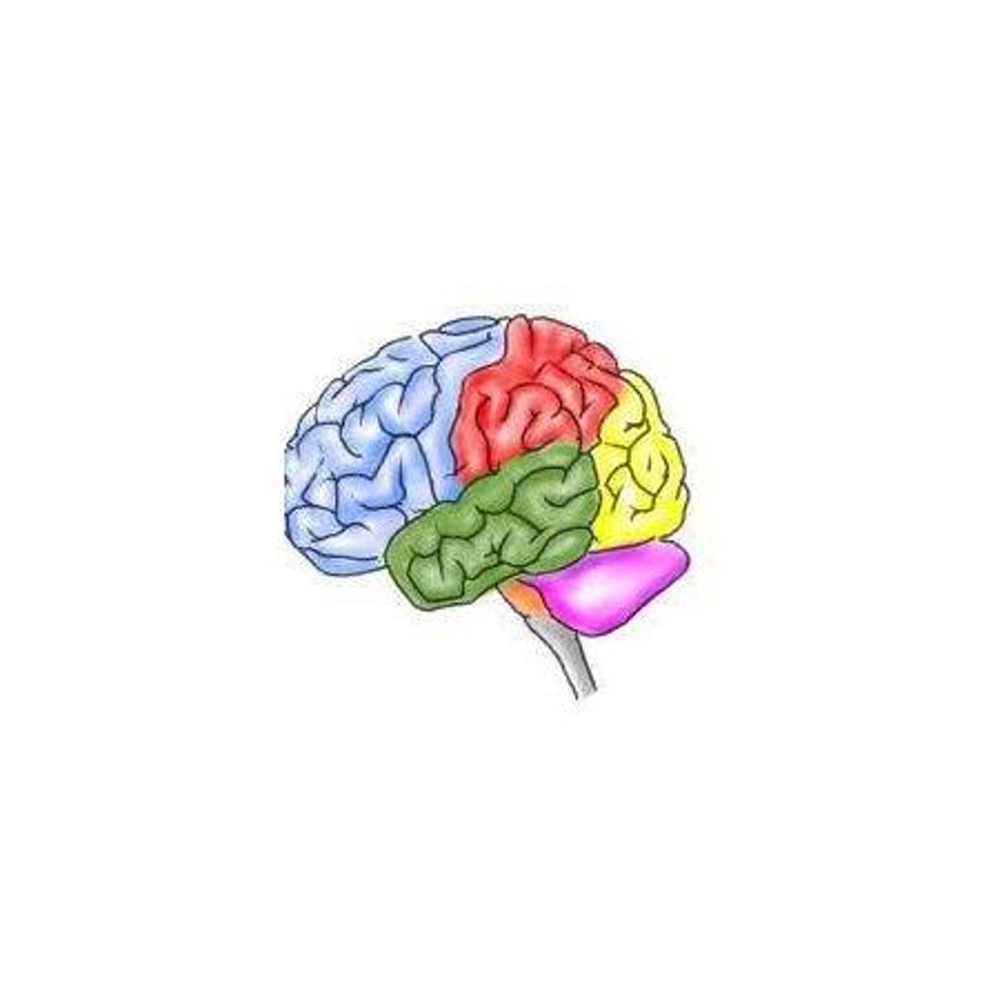 Concussion Matters