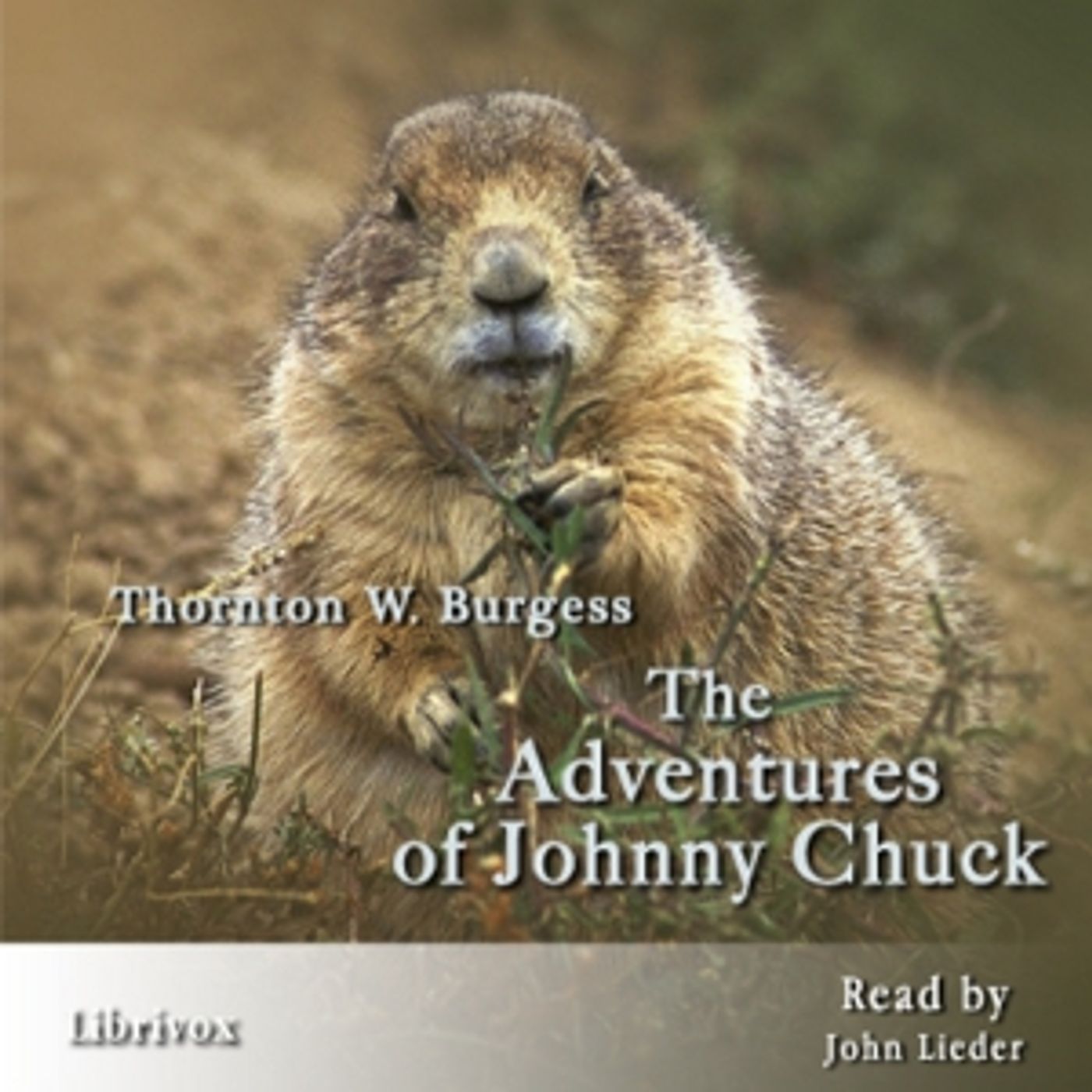 The Adventures of Johnny Chuck, by Thornton W. Burgess cover art