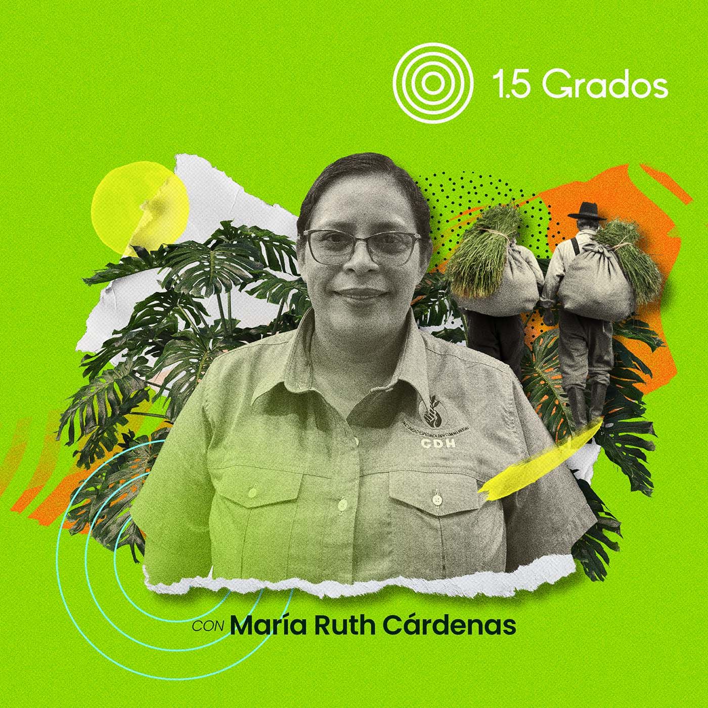 Resiliencia climática comunitaria