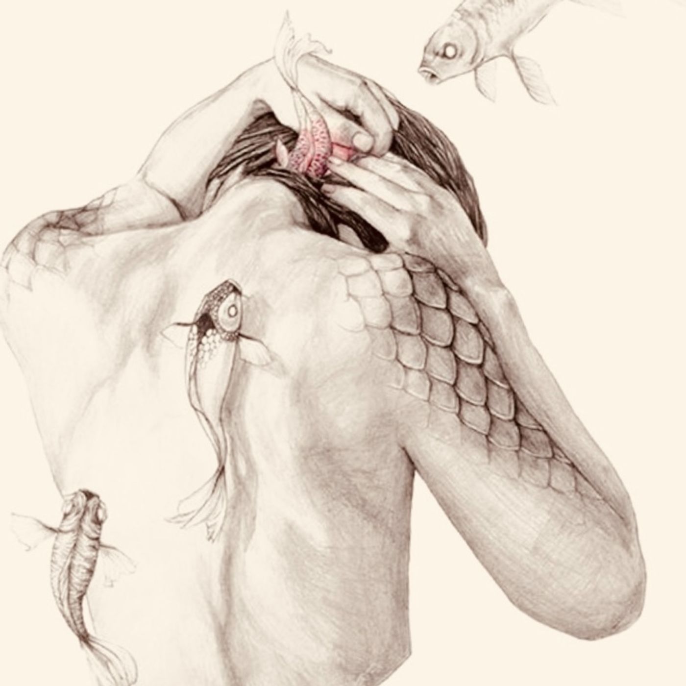Vi presento la mia Timida ( alla ricerca dell’uomo salmone ) episode artwork