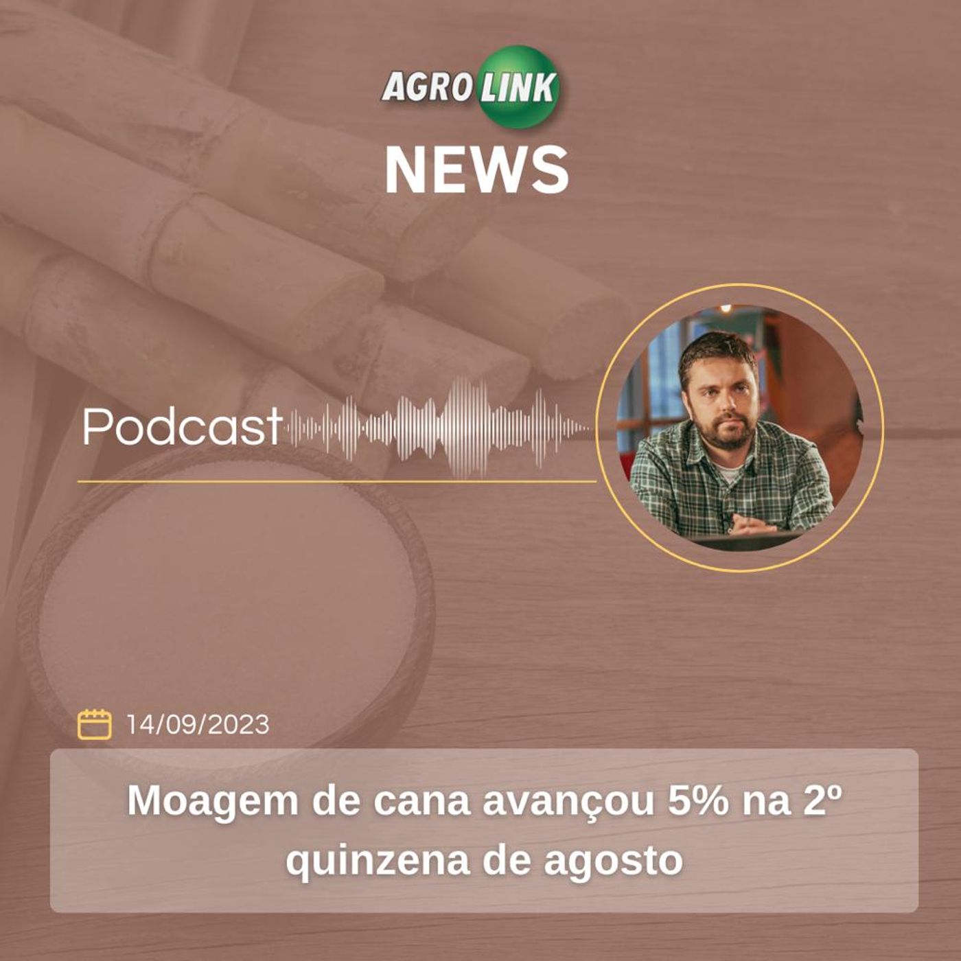 Exportações brasileiras de ovos crescem 178,5% em um ano episode artwork