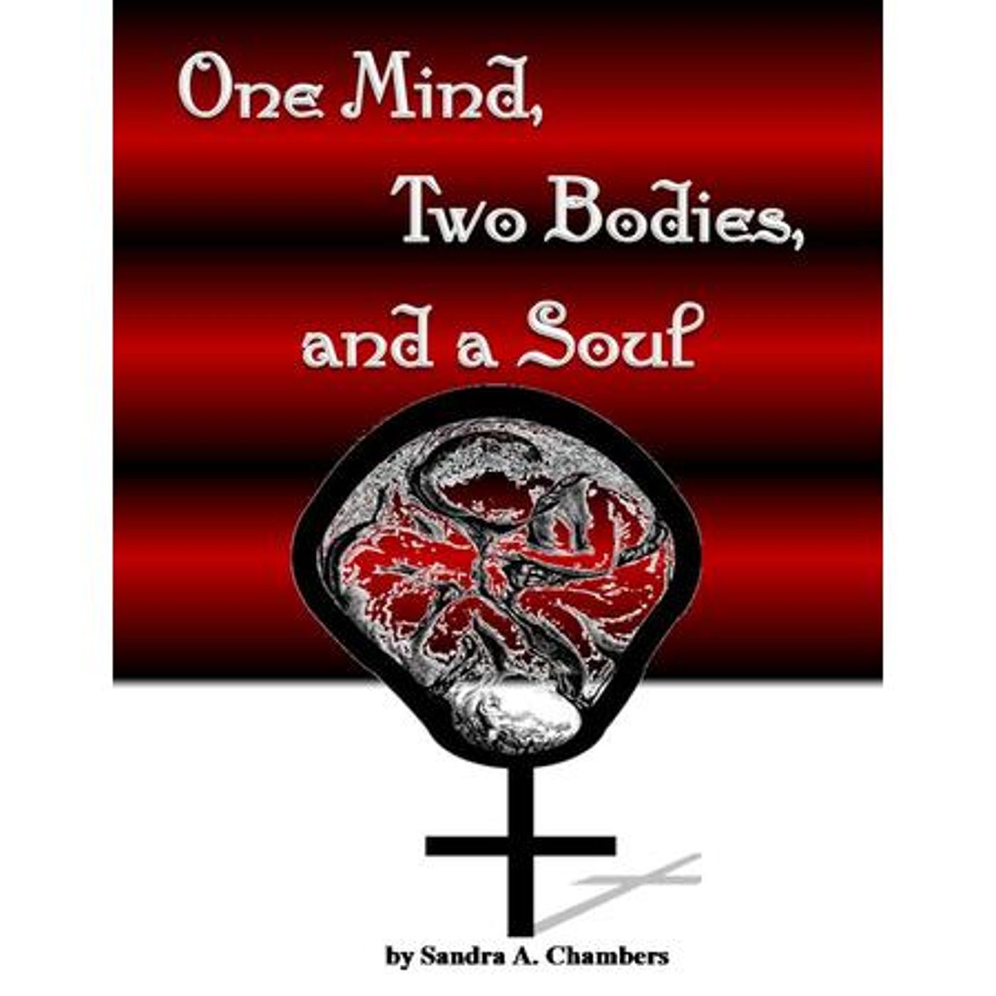 DR ROBERT X...UNHEARD VOICES IN THE PUBLIC SQUARE "Sandra Chambers & Jeanell" episode artwork