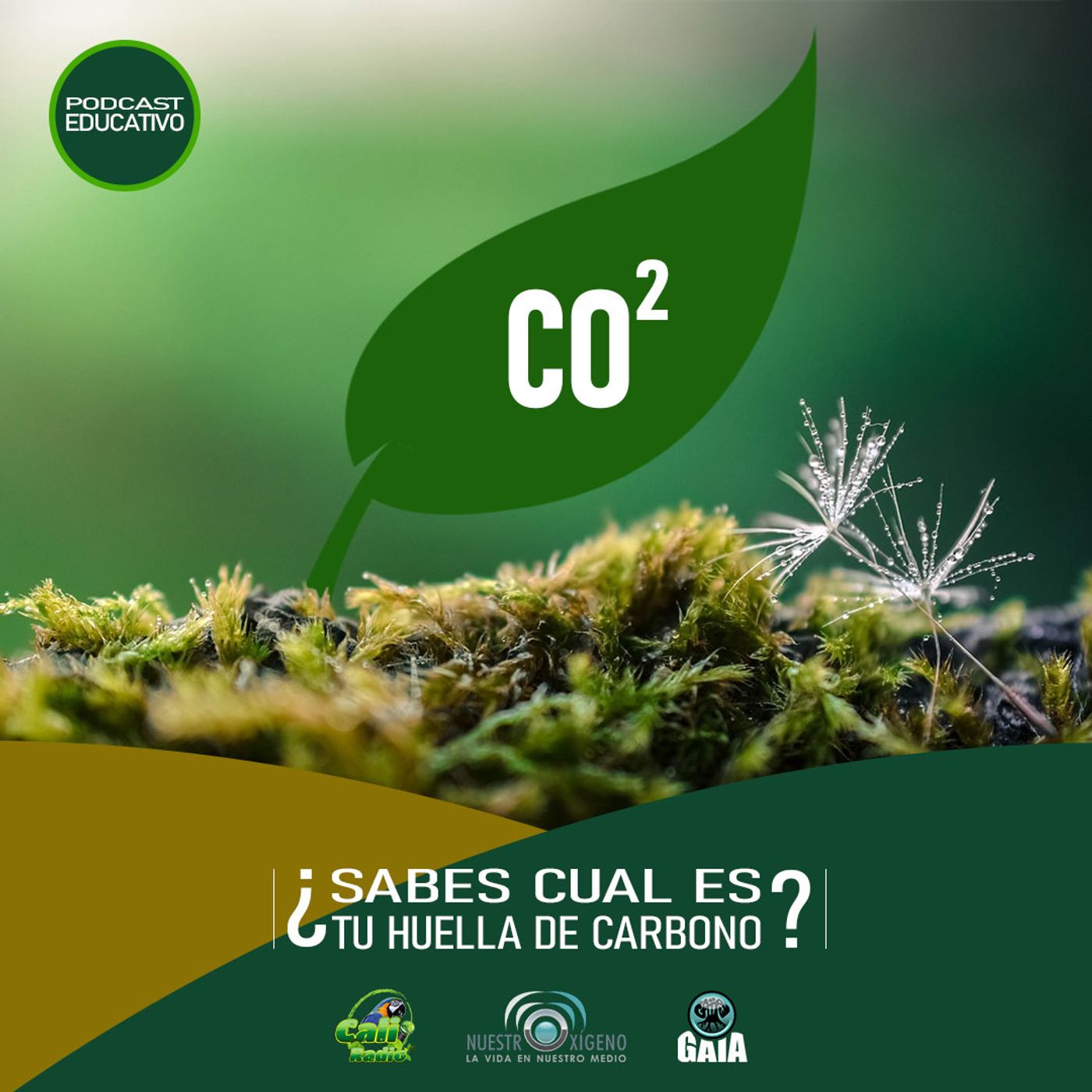 2024 Nuestro Oxigeno 01- Enero