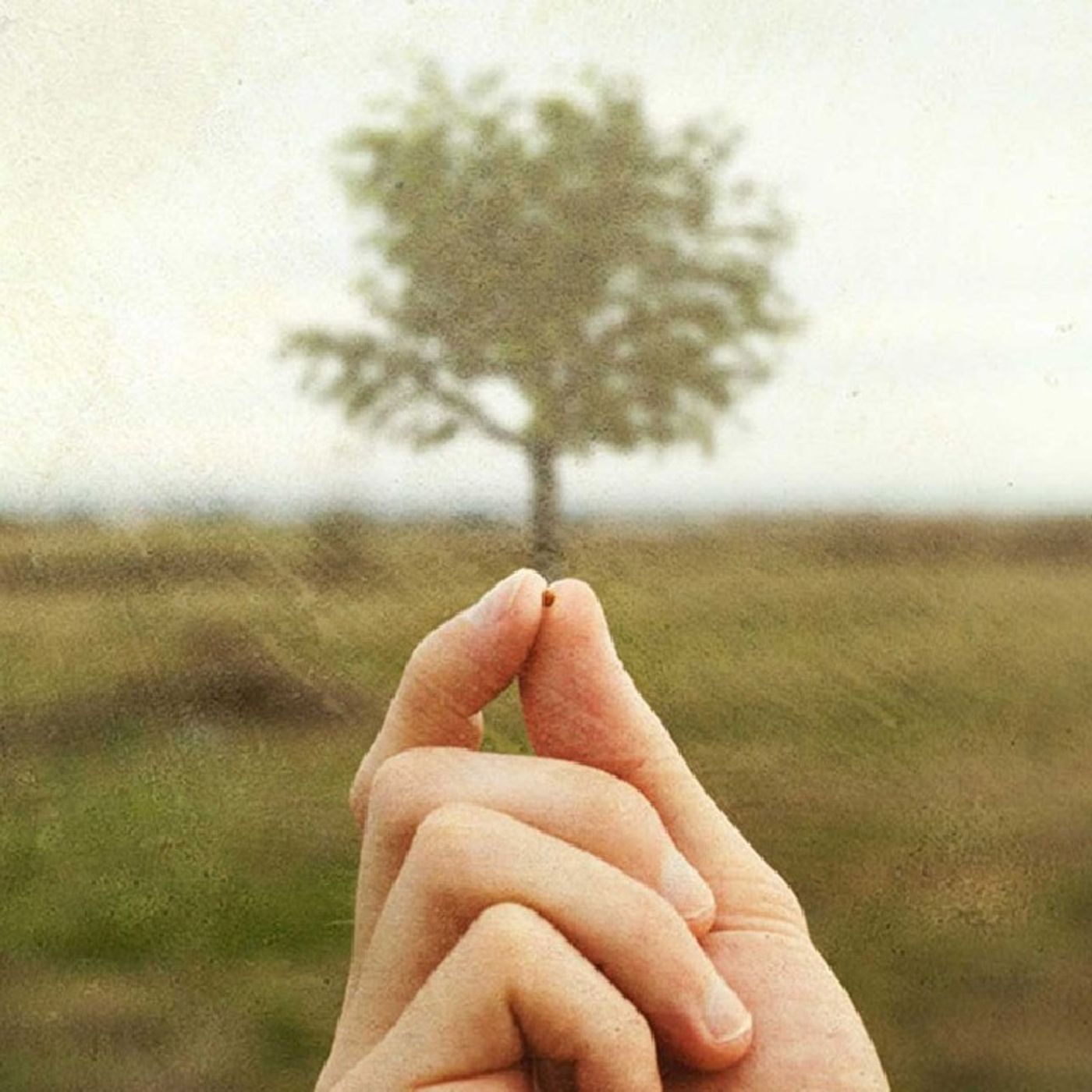 Spontaneamente e paradossalmente episode artwork