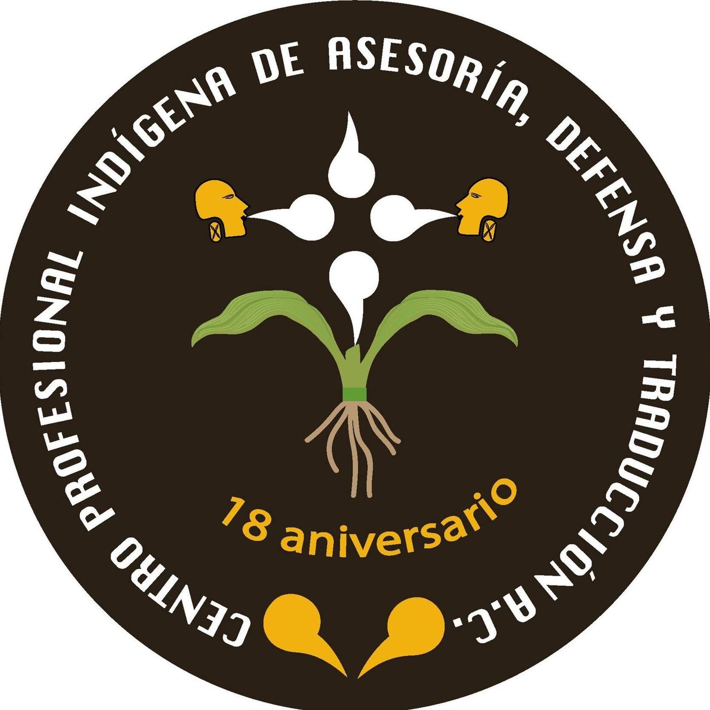 Minería a cielo abierto y su impacto en los Pueblos Indígenas, episodio 2 en mixteco