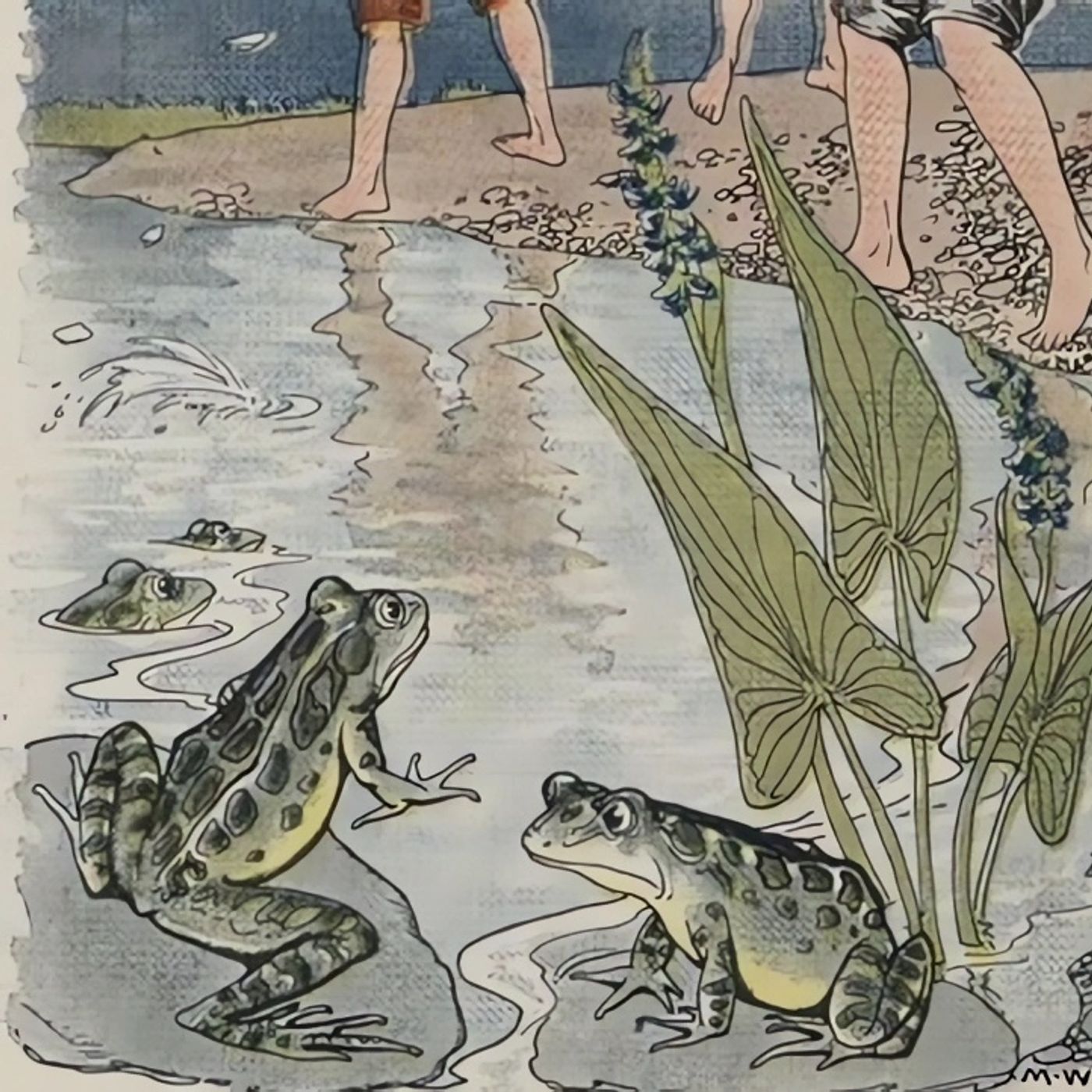 De Jongens en de Kikkers | Aesopus Fabels episode artwork