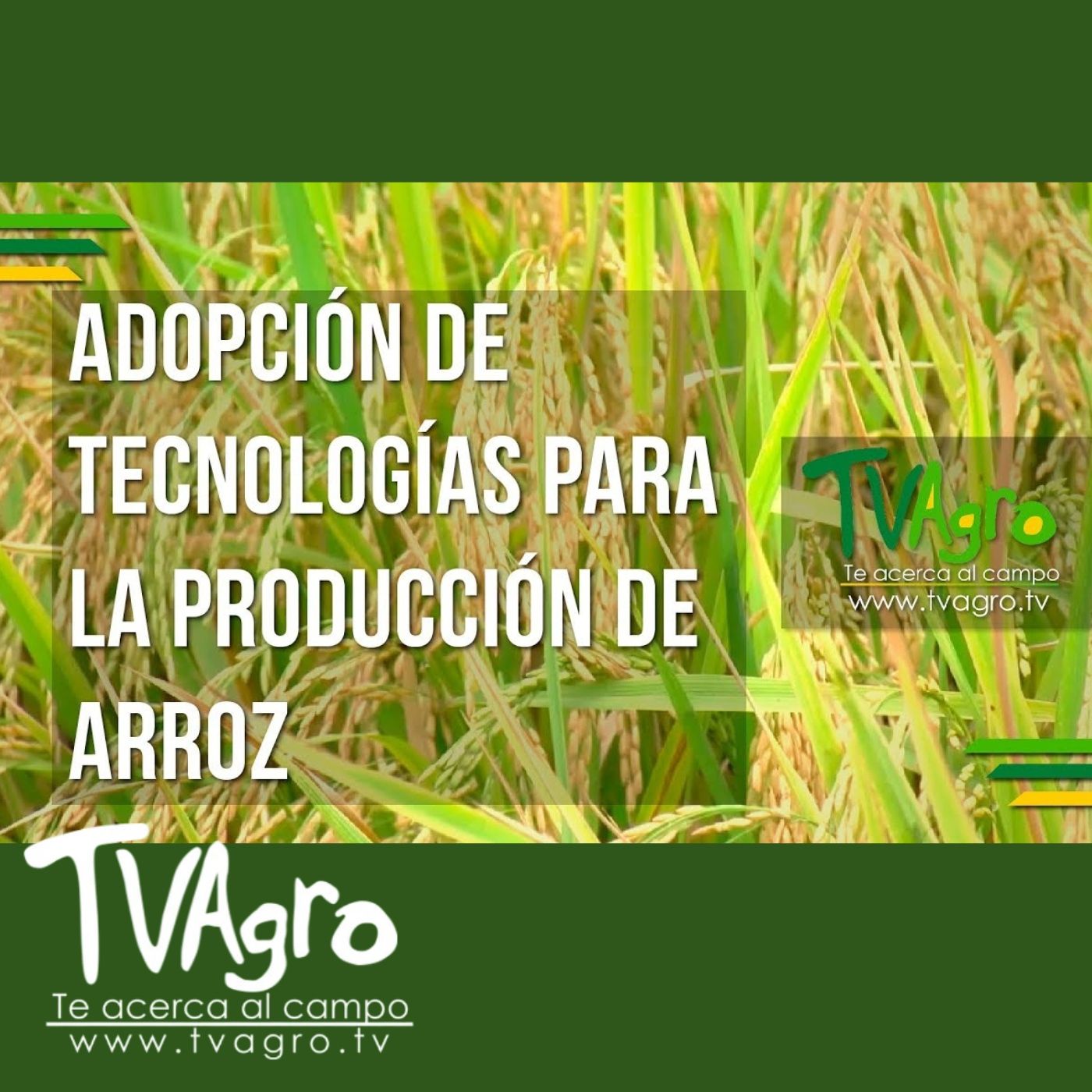TV AGRO