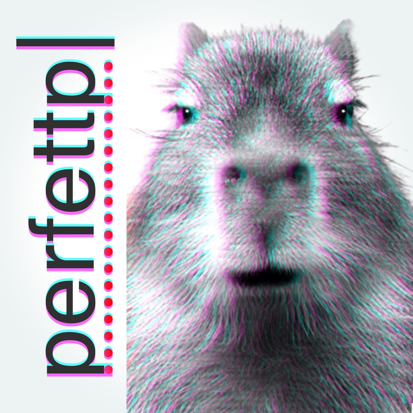 48 - Accomodarsi su un capibara – Perfettp – Podcast – Podtail