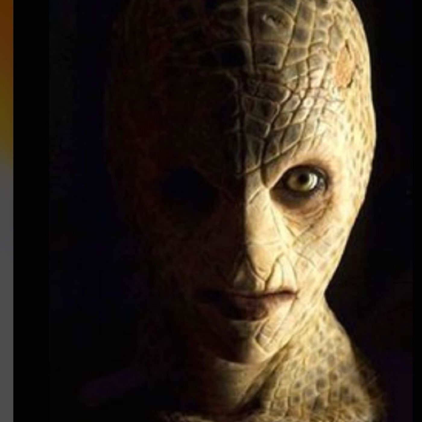 Reptilians are they real? episode artwork
