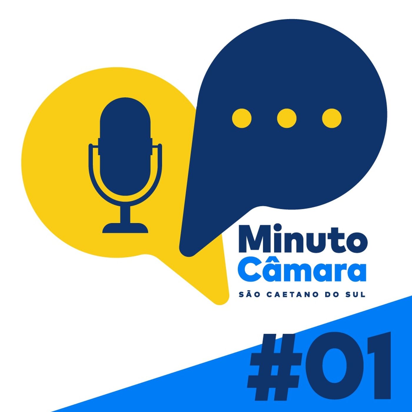 Câmara Municipal de São Caetano