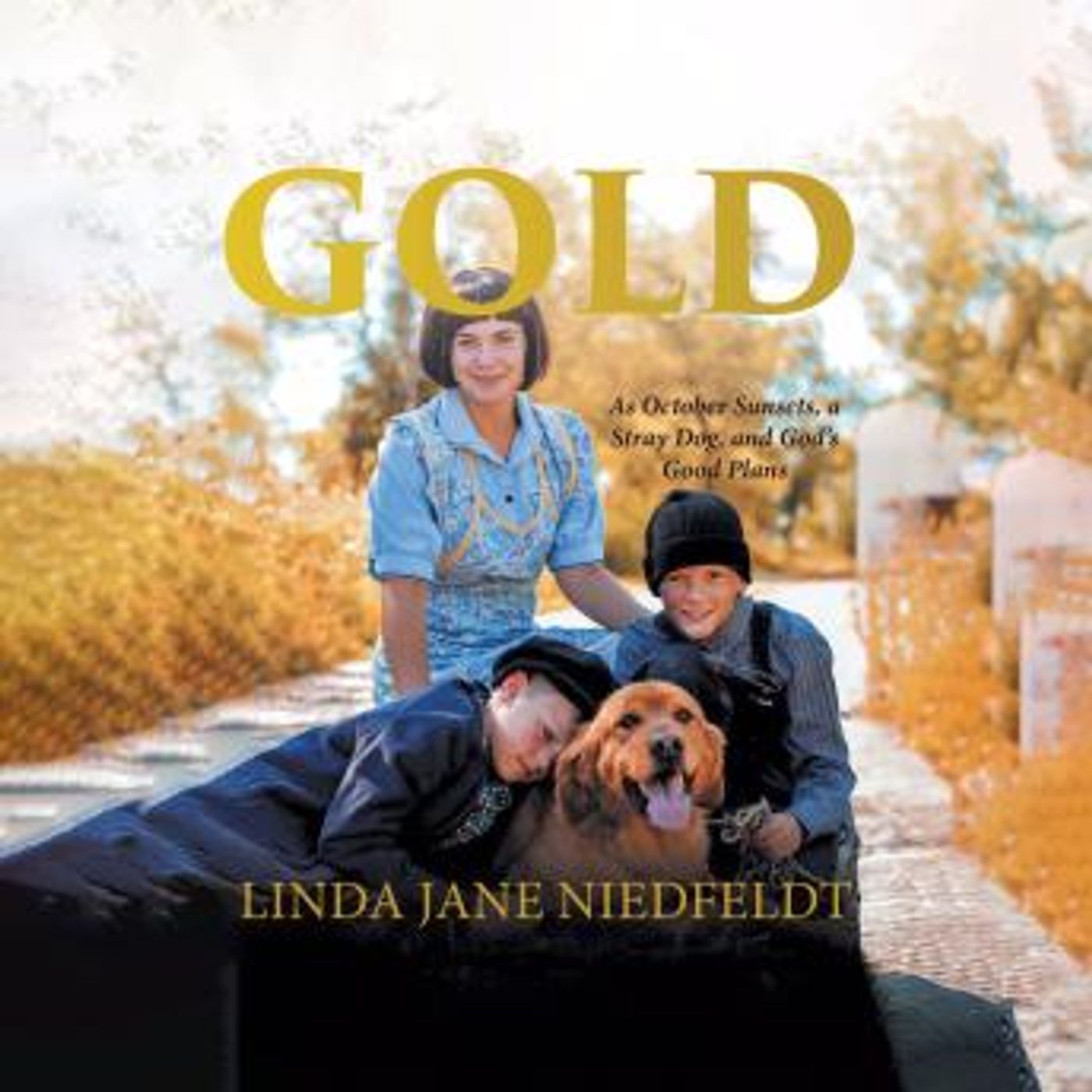Gold: As October Sunsets, a Stray Dog, and God's Good Plans by Linda Jane Niedfeldt episode artwork