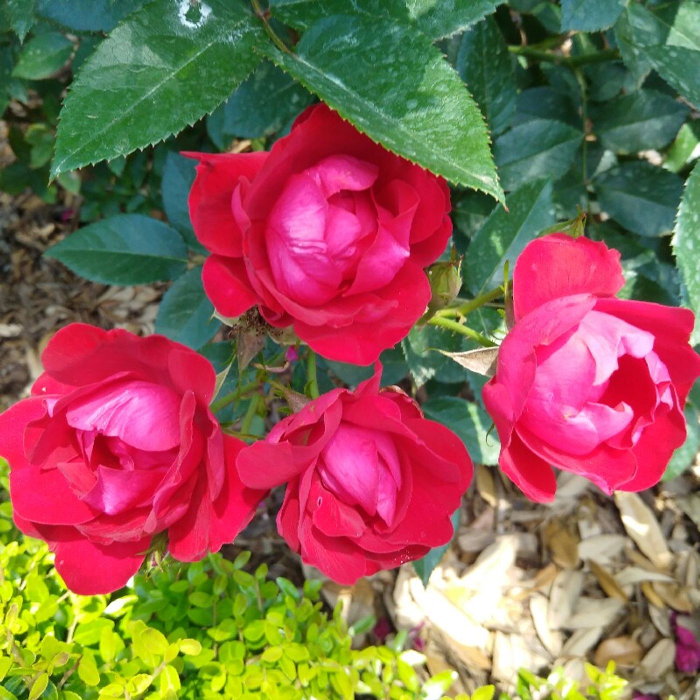 Perfect Strangers thumbnail