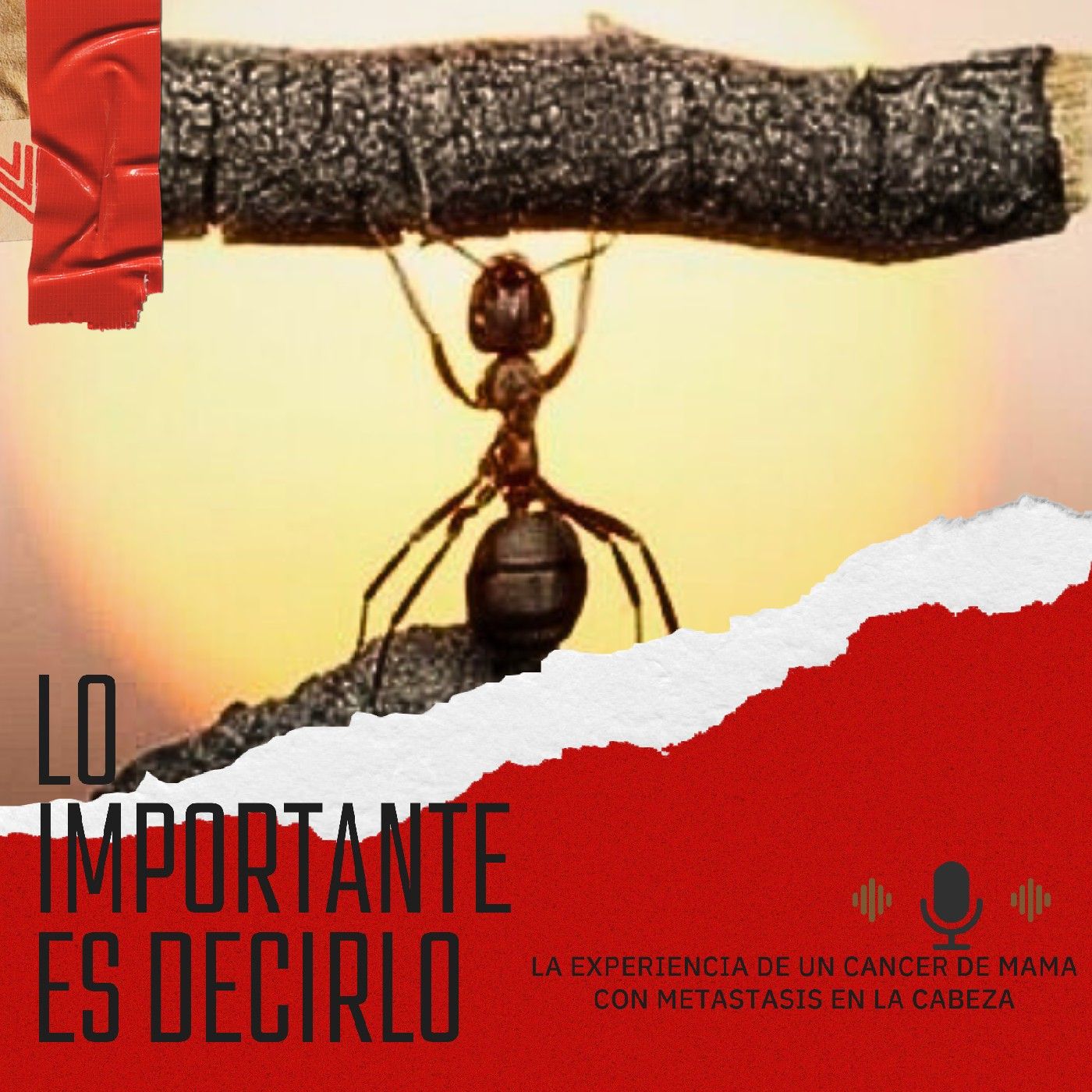 Lo importante es decirlo