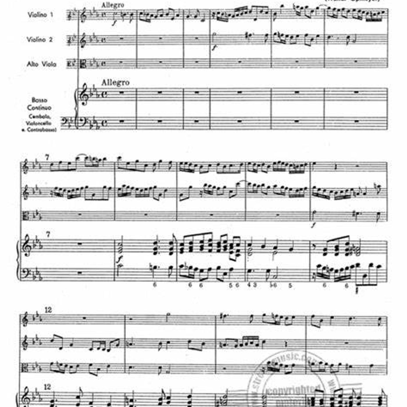 SOCIETATEA MUZICALA BAROQUE PASSION