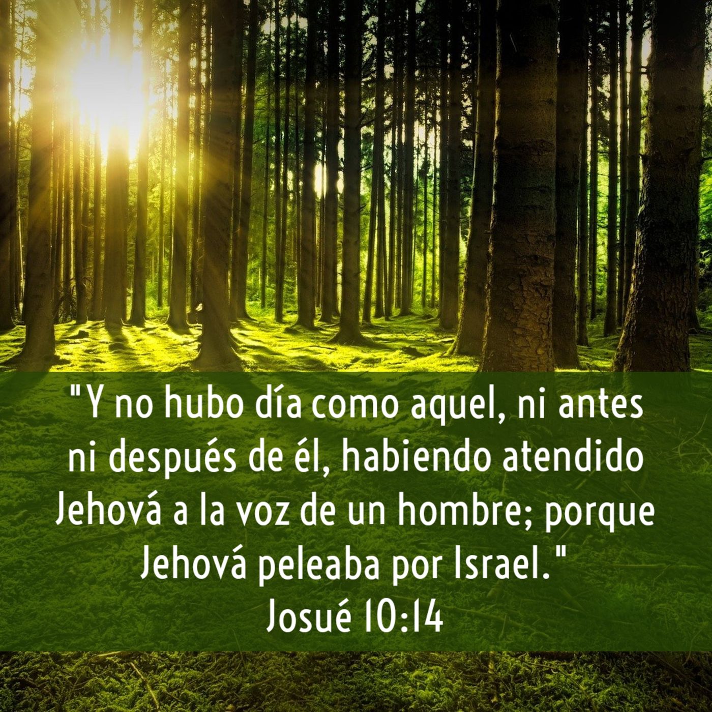 Ministerio UMCD - Un Momento Con Dios | Reflexiones Cristianas