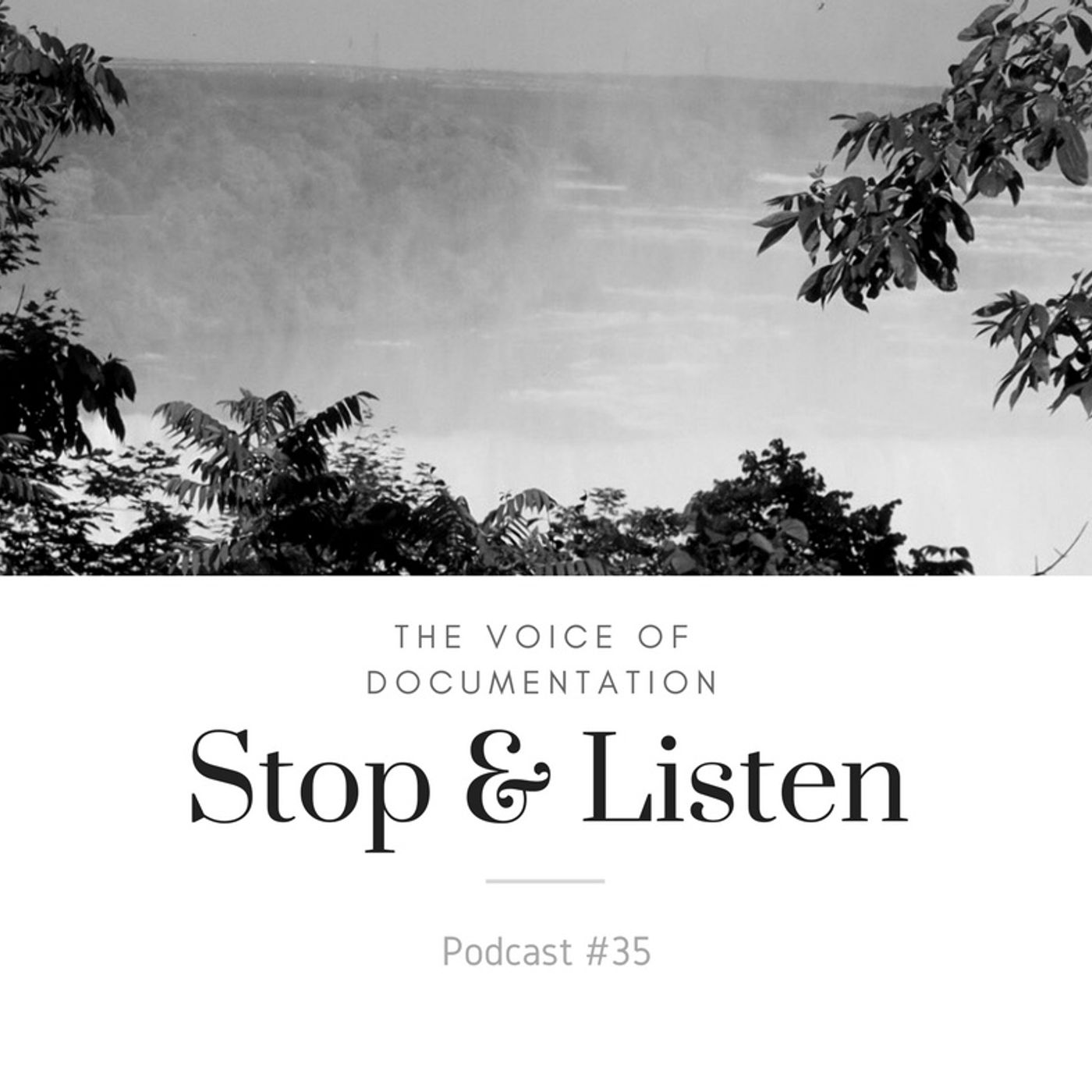 The Voice Of Documentation