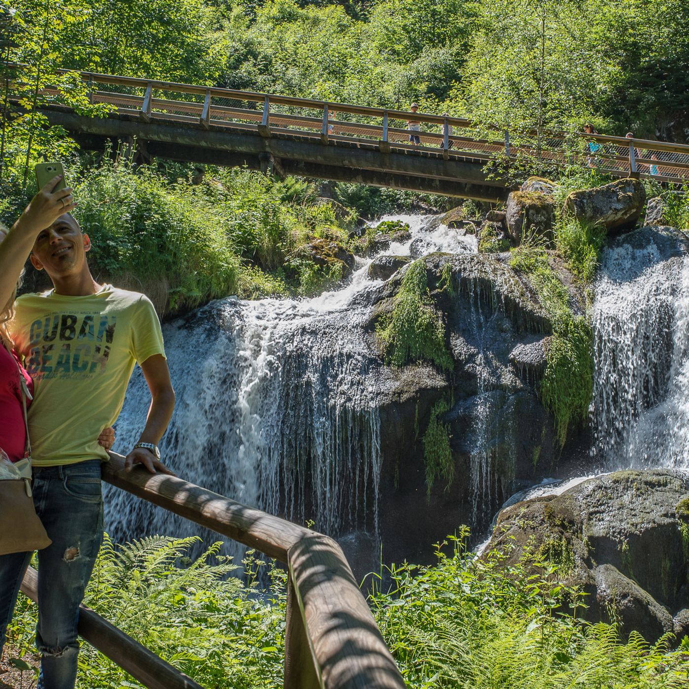 Naturaleza y mercado: soluciones imaginativas para cuidar de verdad el medioambiente