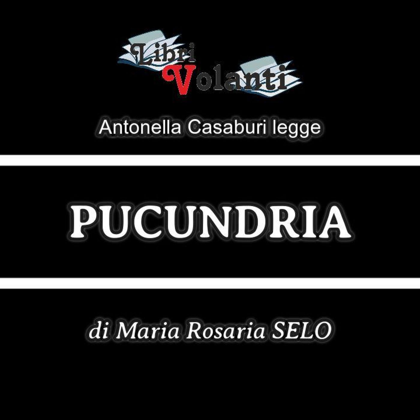 «LibriVolanti» “PUCUNDRIA” di Maria Rosaria SELO – Marotta&Cafiero Editore – anno 2024  - Rubrica ideata e condotta da Francesco SAMPOGNA e episode artwork