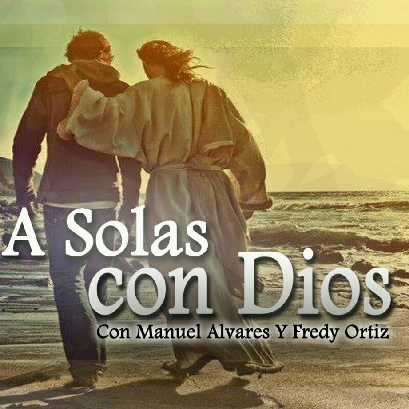 Virtudes y Defectos episode artwork