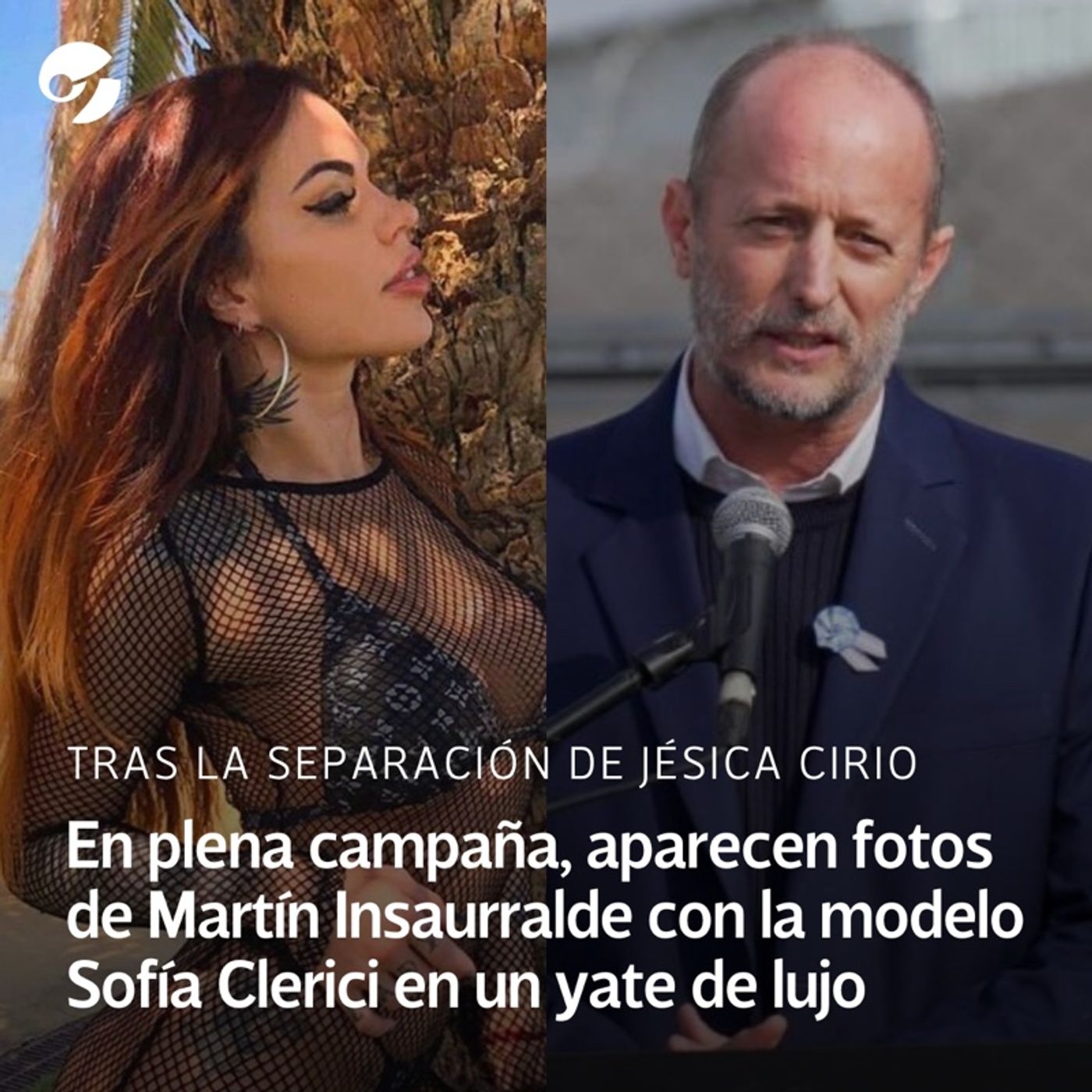 DOLAR A $800 y QUE LOS GATOS NO NOS TAPEN LA REALIDAD DOLAR A $800 y QUE LOS GATOS NO NOS TAPEN LA REALIDAD