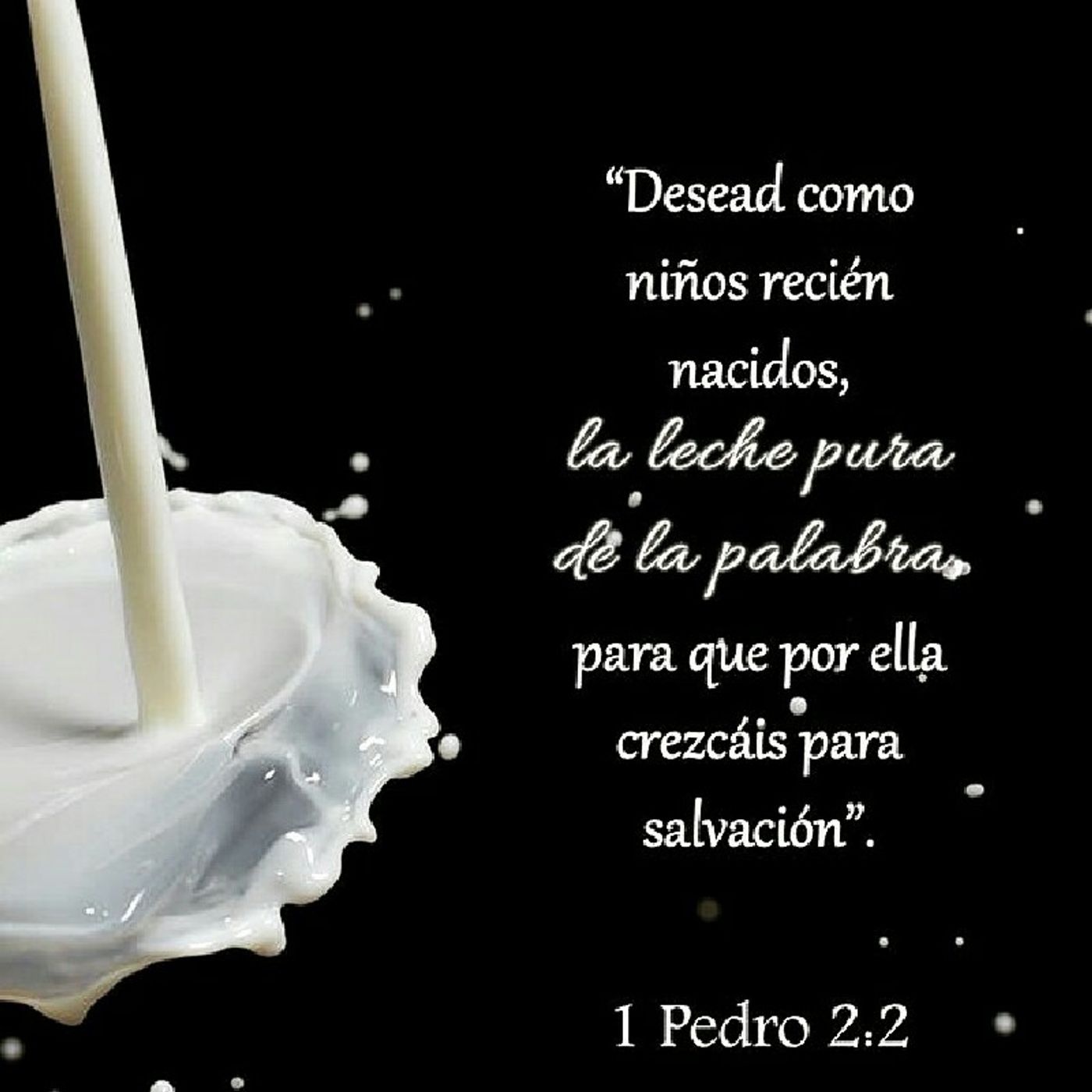 1 Pedro 2:2 episode artwork