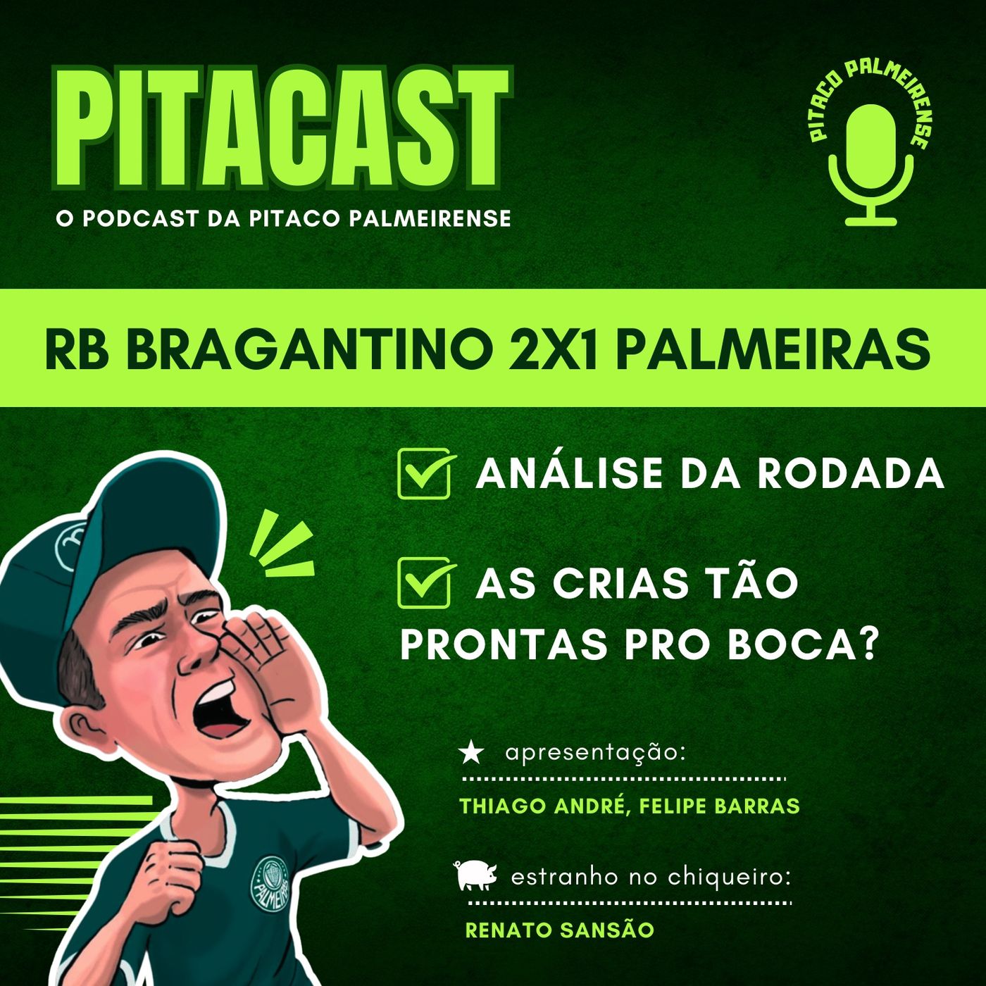 RB Bragantino 2x1 Palmeiras | As Crias da Academia estão prontas para 5aF? episode artwork