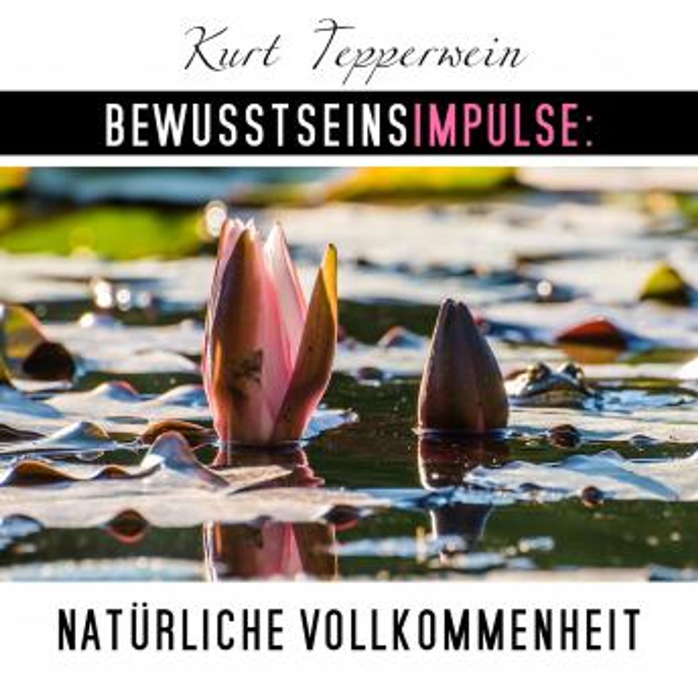 Download New Full Audiobooks in Health & Wellness, Fitness, Diet & Nutrition