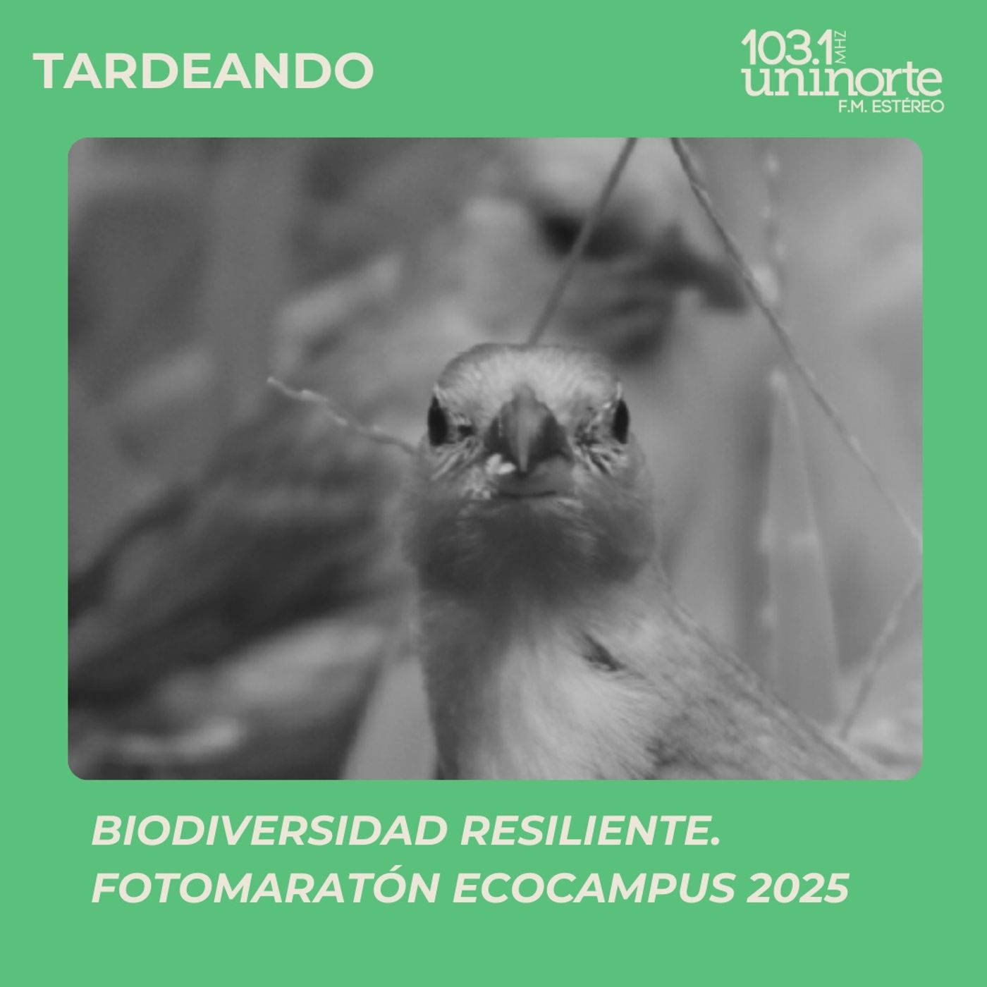 TARDEANDO CON UNINORTE FM ESTEREO