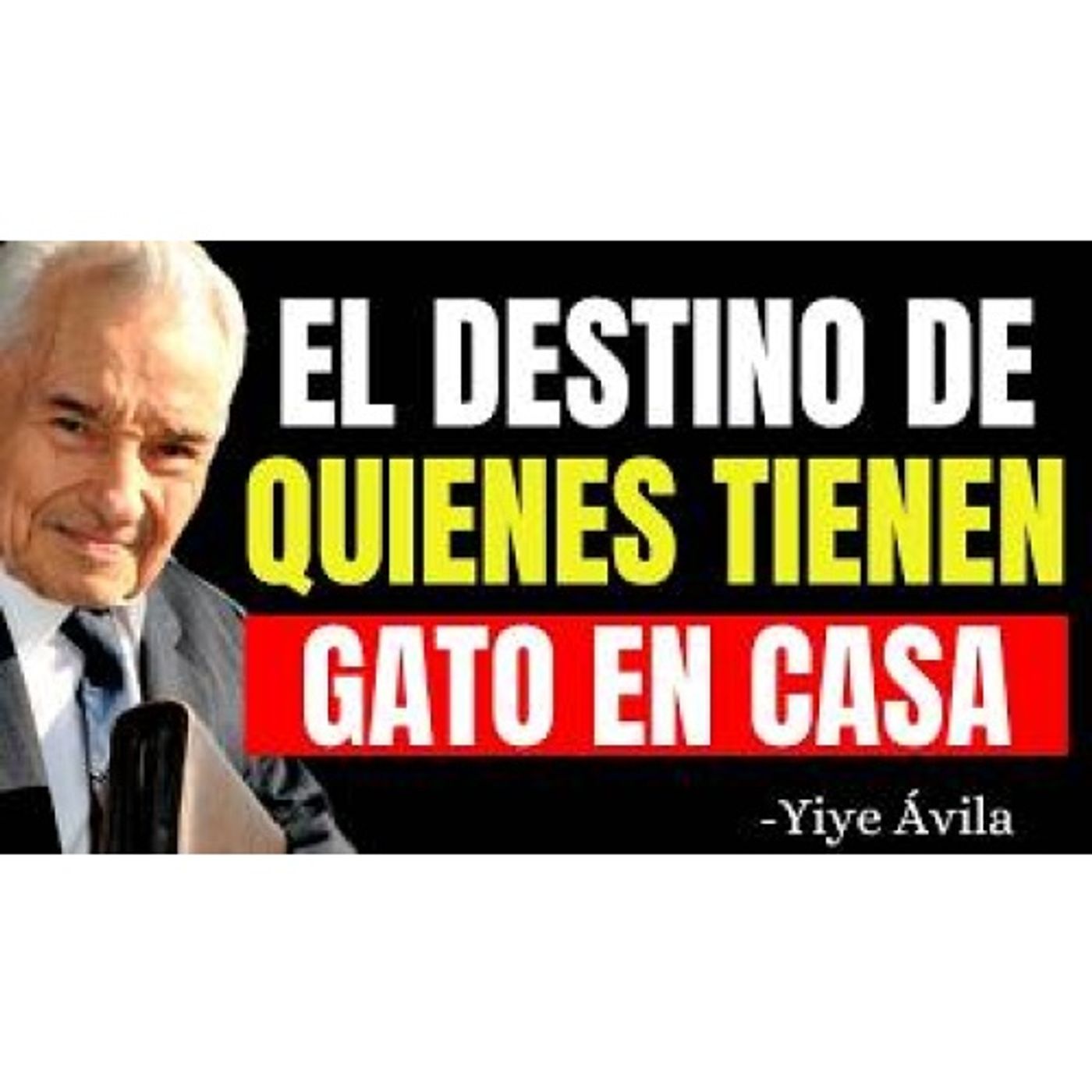 ESTE es el DESTINO de quienes tienen PERROS en CASA ¡No Ignores Esto! - Predicas Cristianas