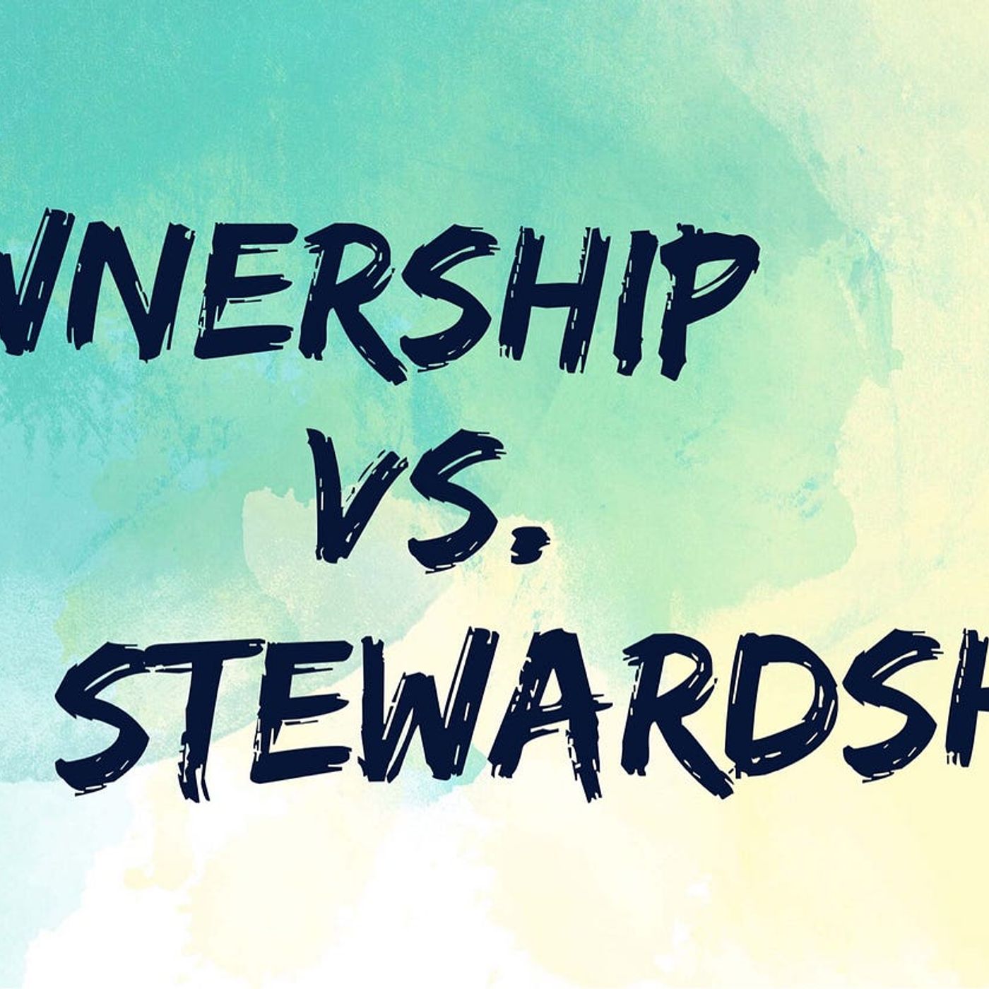 Stewardship vs Ownership in Business episode artwork