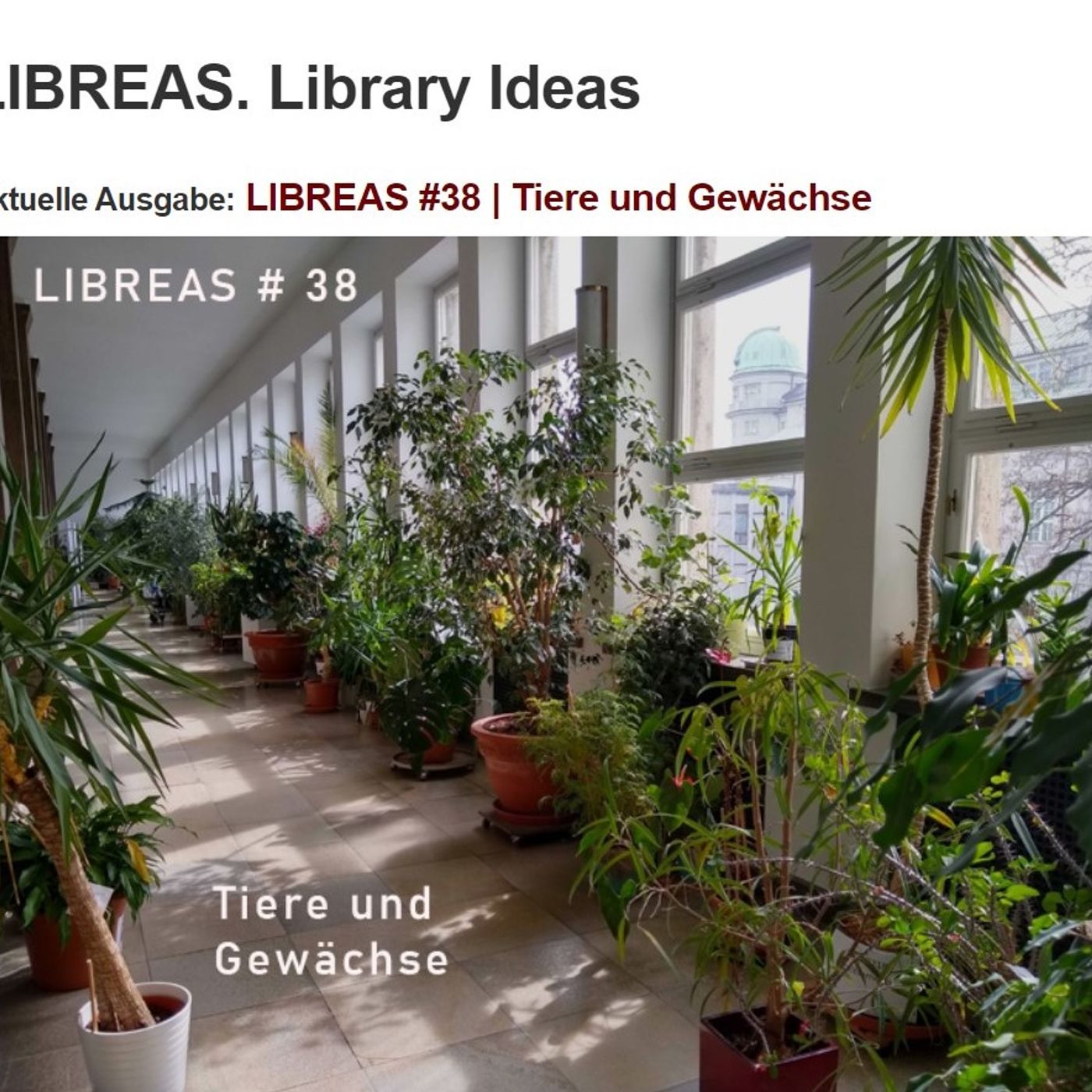 Mittwochs in der Bibliothek