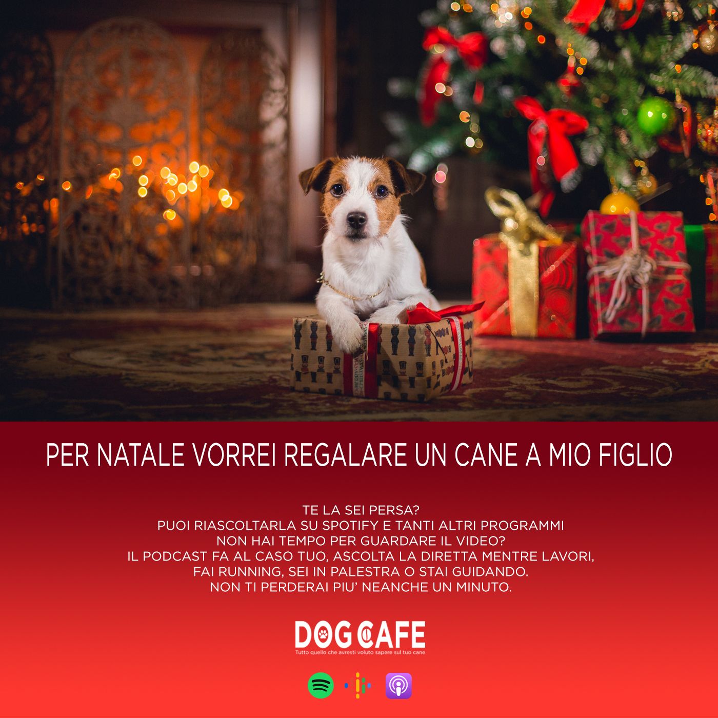 Dog Cafe Podcast