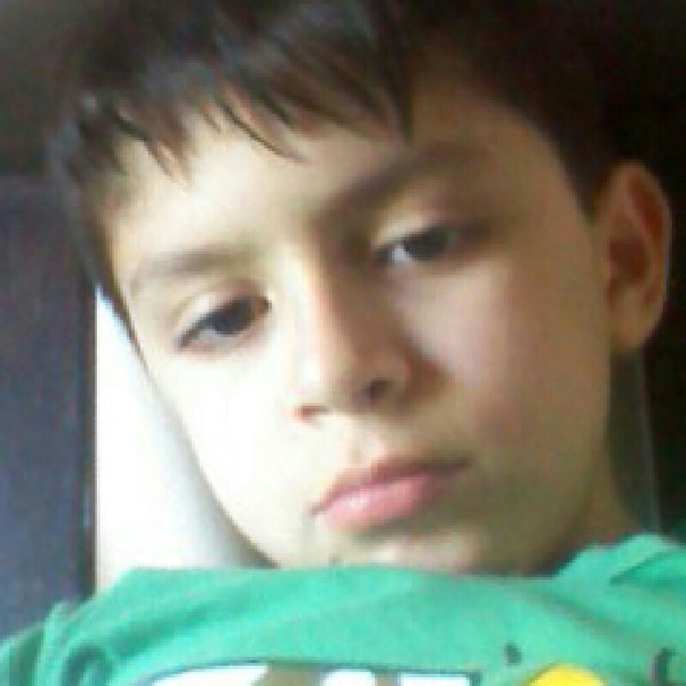 El show de el gamer animado