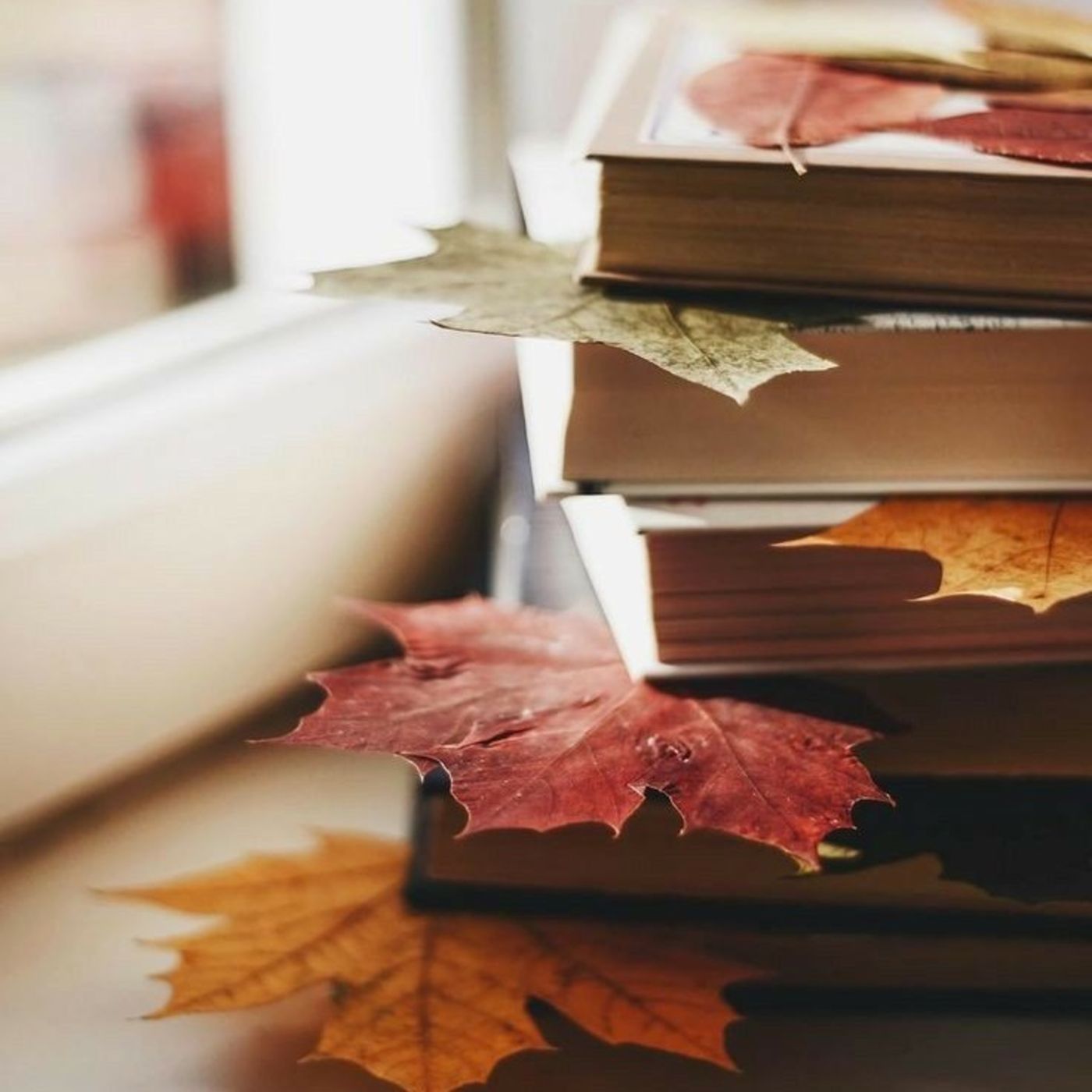 Los libros de Baker Street