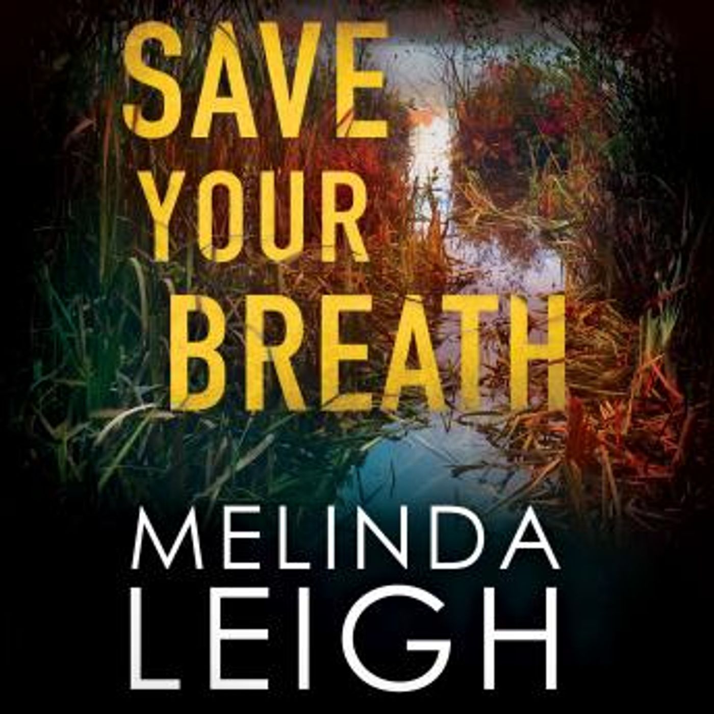 Grab the Essential Free Audiobooks in Mystery, Thriller & Horror, Police & Detective