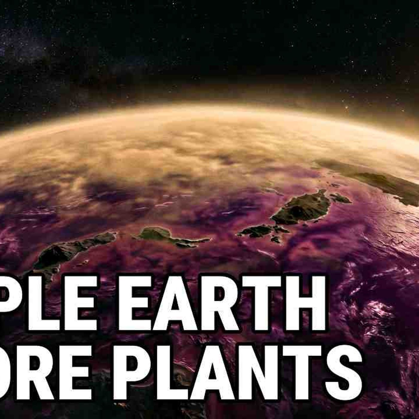 The Ancient Purple World That Existed Before Plants _ And Still Lives Inside Your Eyes episode artwork