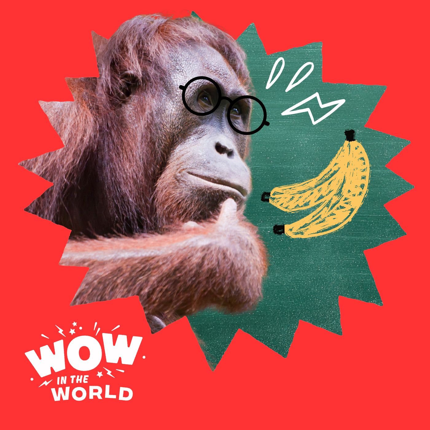 Teach Like an Orangutan! What Makes These Great Apes Such Great Teachers? (Encore) episode artwork