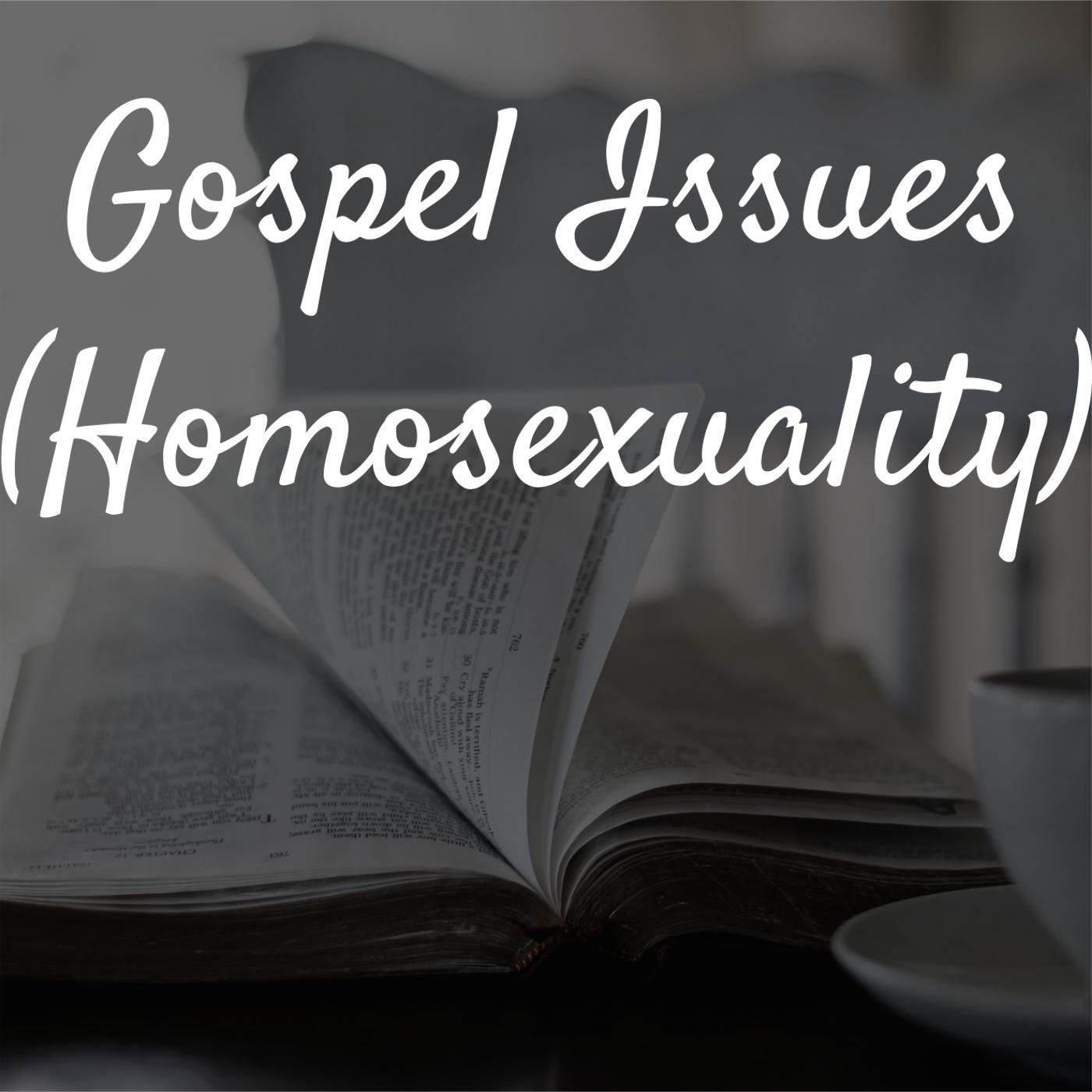 #57 Gospel Issues (Homosexuality)