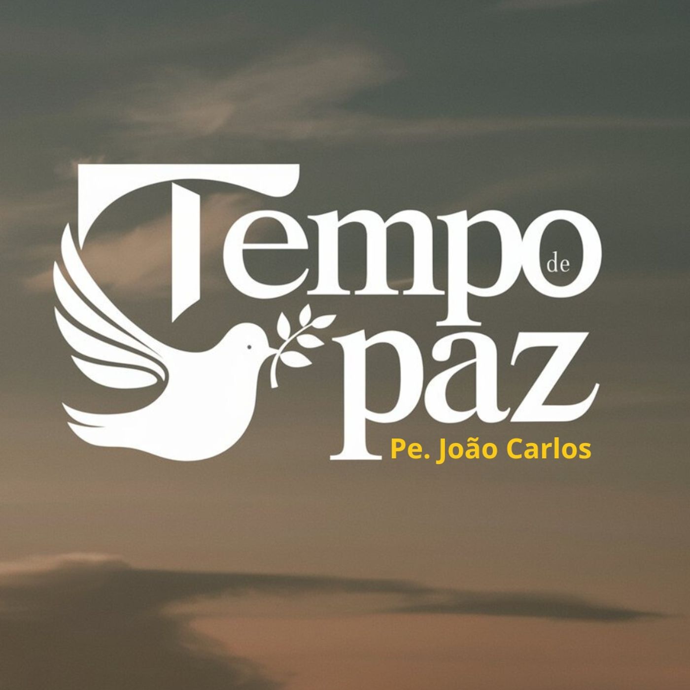 Pe. João Carlos - Meditação da Palavra
