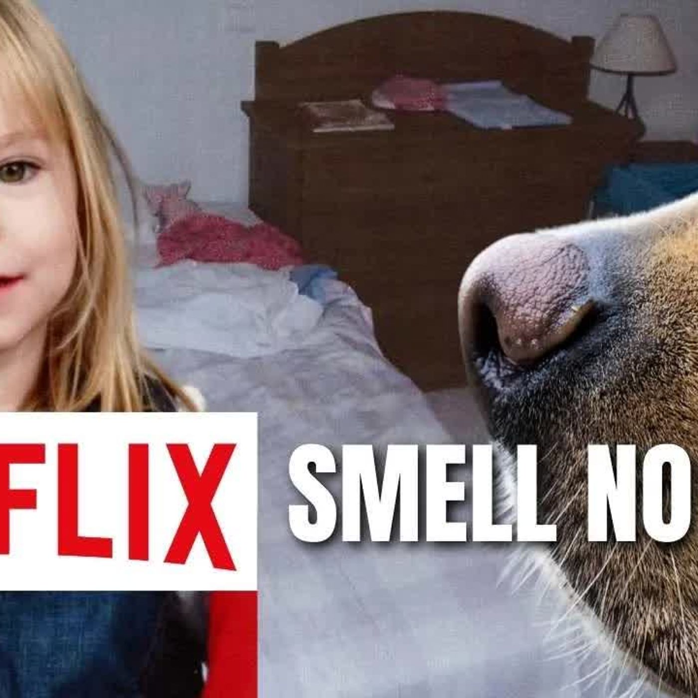 MADELEINE ON NETFLIX Hinkiness Surrounds Rental Vehicle episode artwork