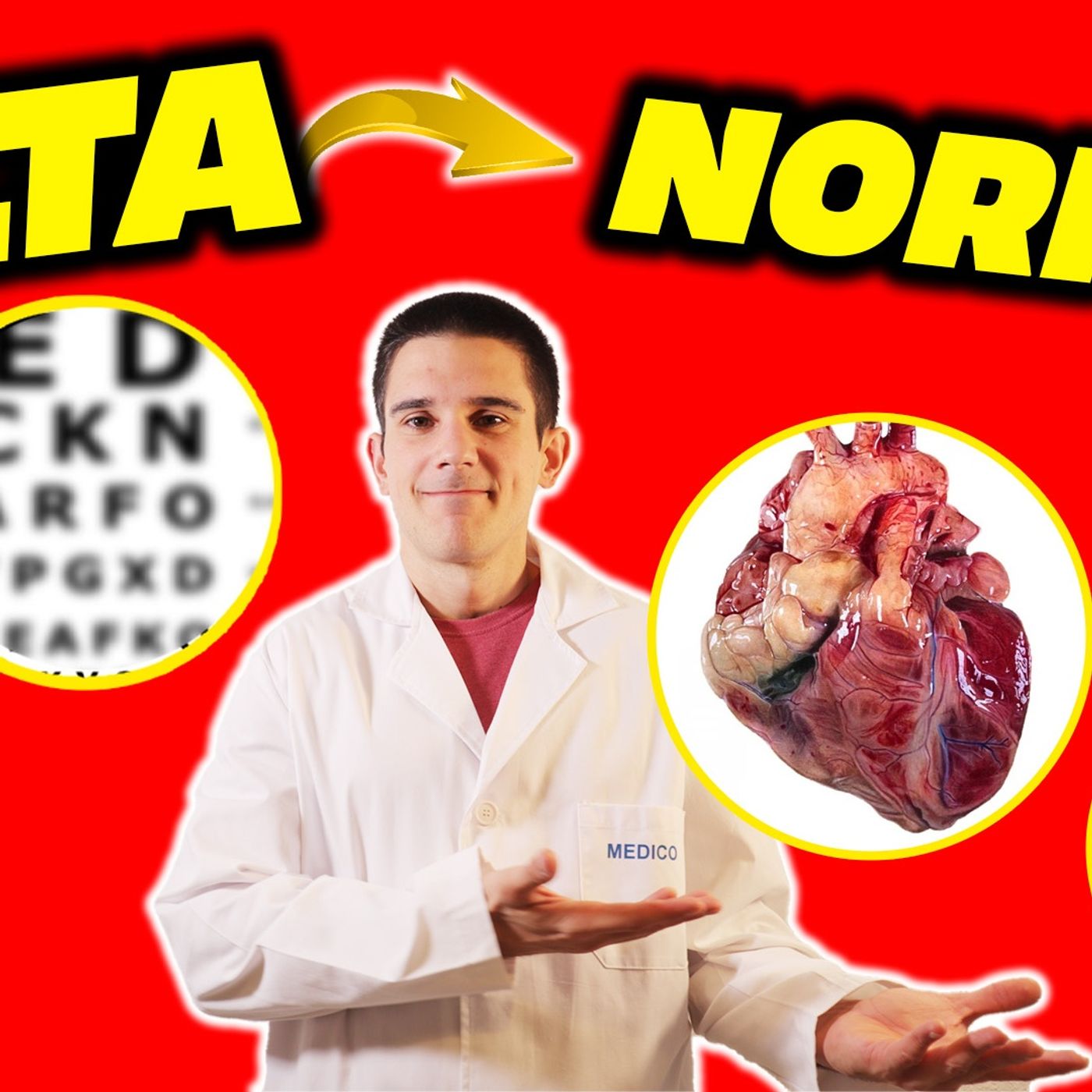 BAJAR el AZÚCAR en SANGRE: TODO LO QUE NO TE CONTARON