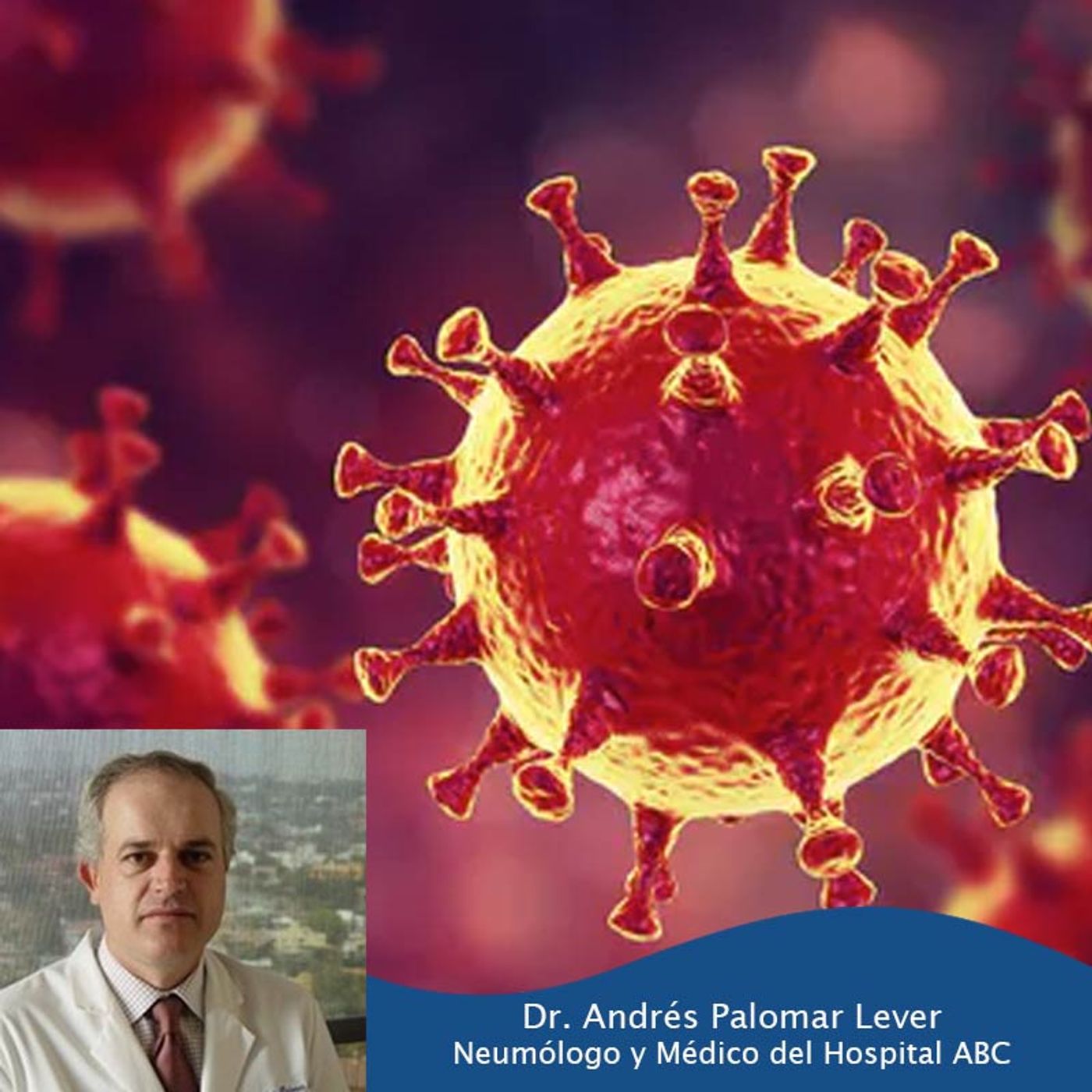 Coronavirus: Entrevista con el Dr. Andrés Palomar Lever episode artwork